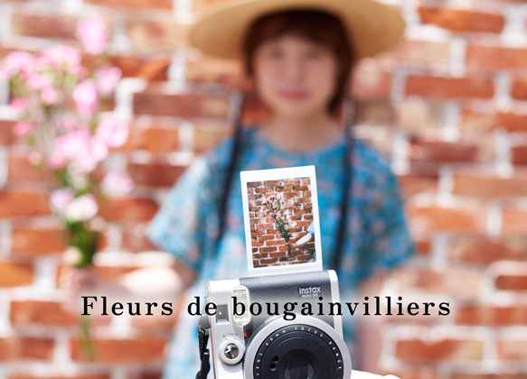 220713_bougainvillea_3267.jpg