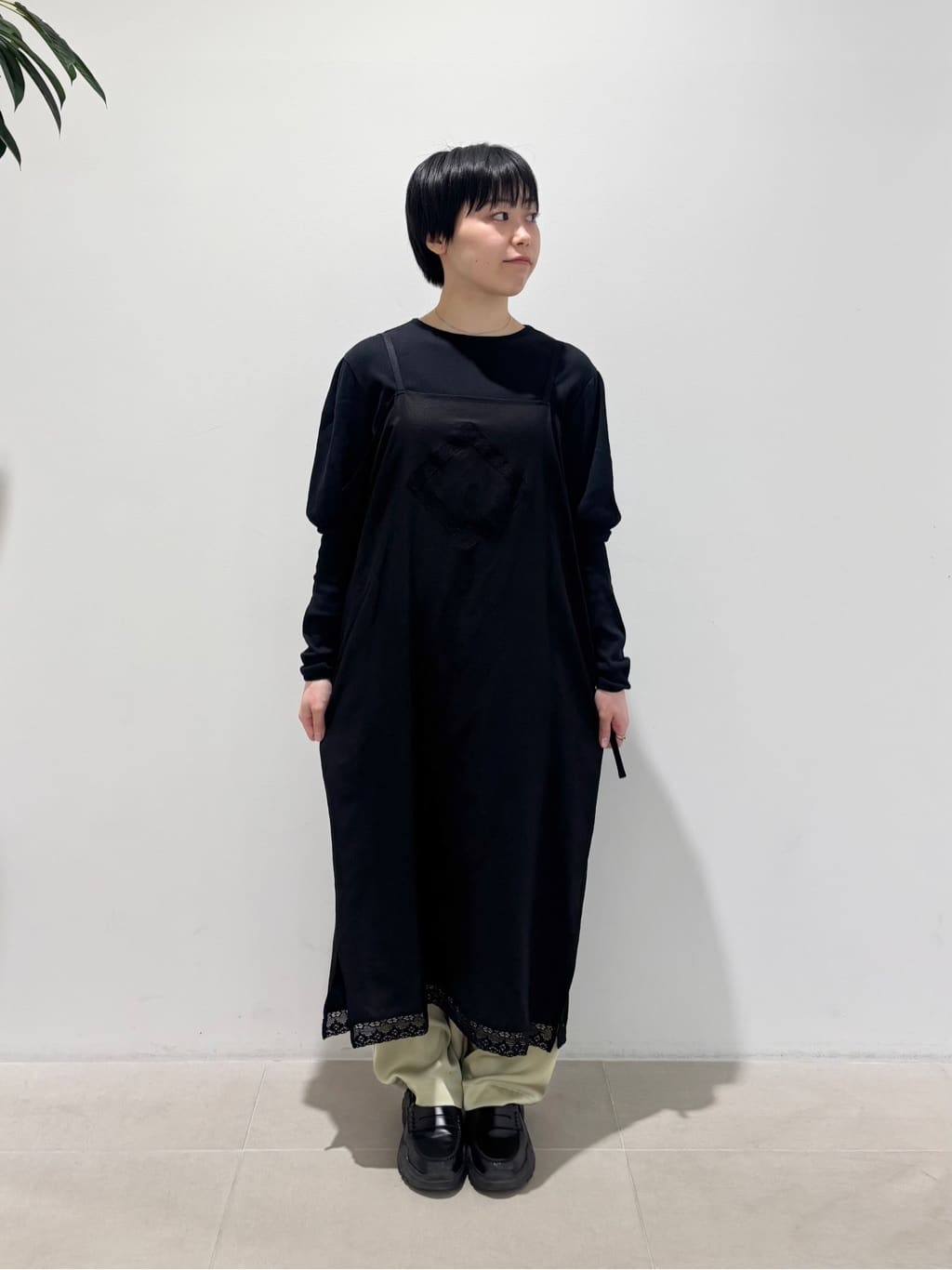 l'atelier du savon ��q�ʐ색�C�Y �g���F154cm 2026.03.10