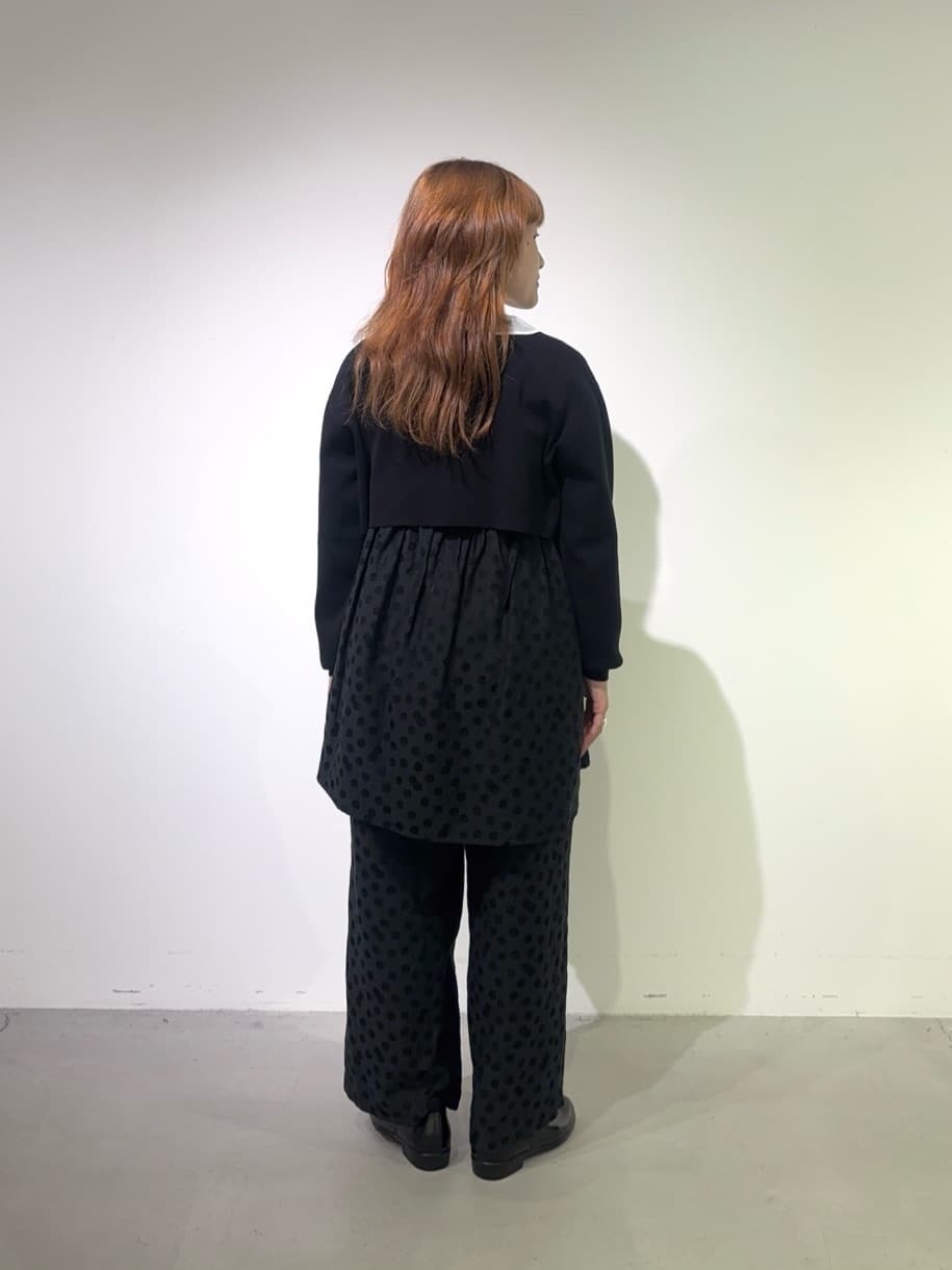 AMBIDEX FLAT ��x�] �g���F151cm 2025.10.23