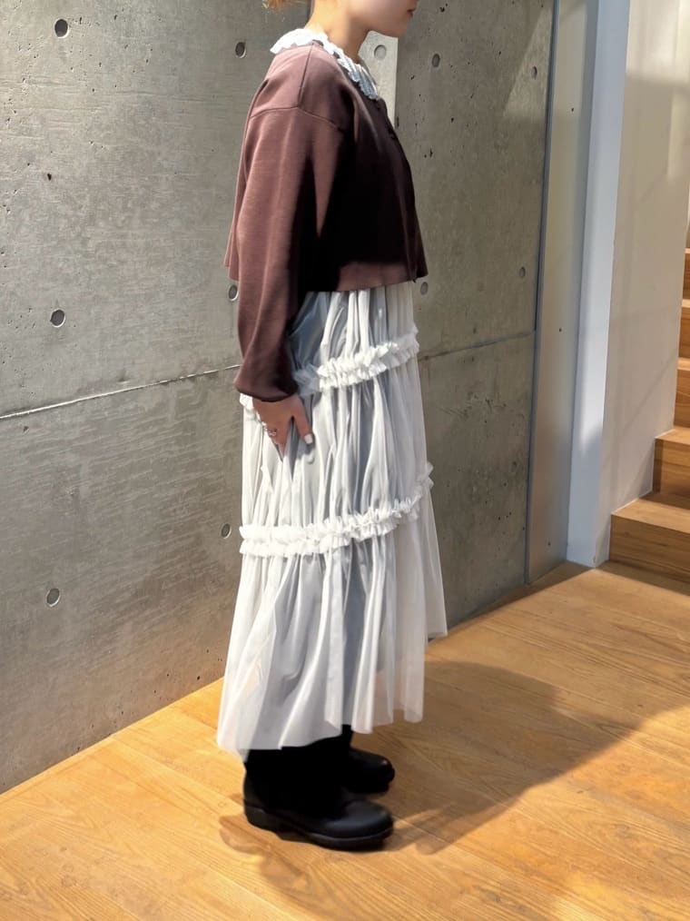 AMBIDEX FLAT ��x�] �g���F151cm 2025.11.26