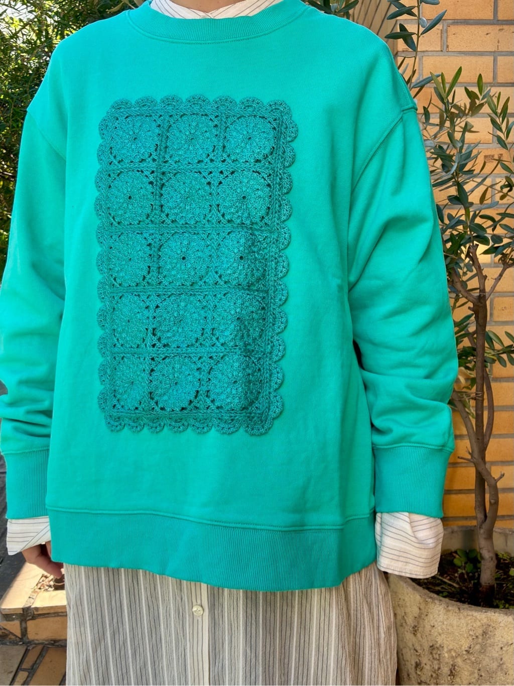 yuni ��X�؏㌴�H�� �g���F152cm 2026.01.15