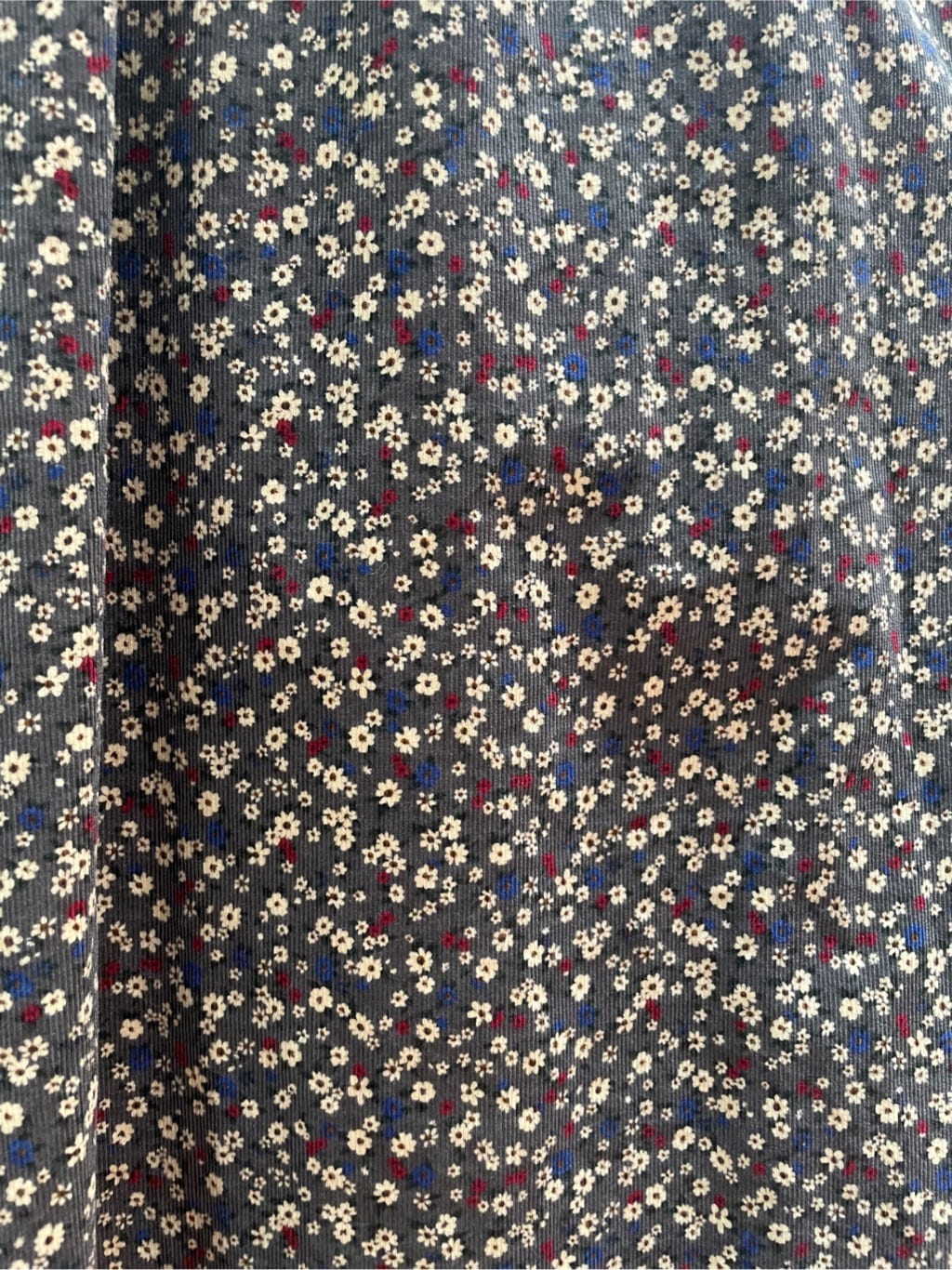 PAR ICI pR gF156cm 2025.10.06