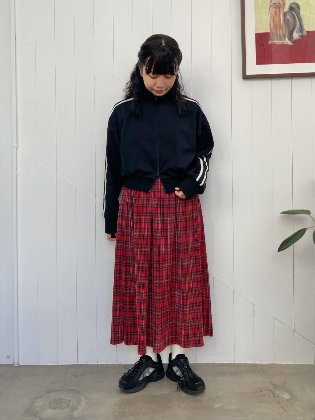 AMBIDEX ambihanako�㊯�R�H�� �g���F155cm 2025.11.21