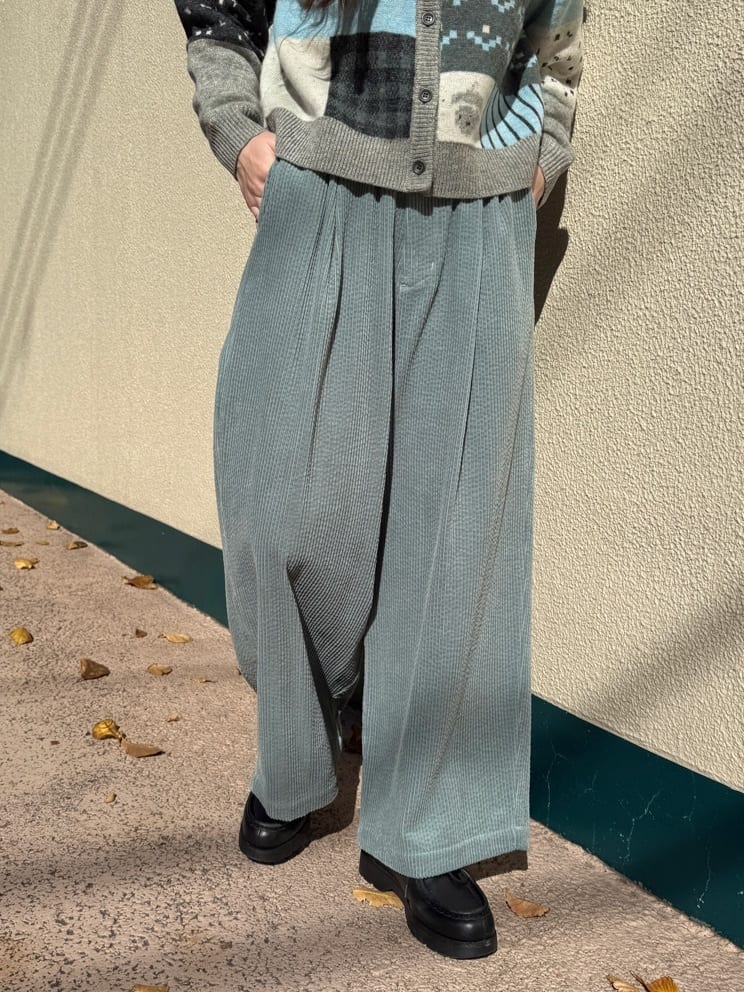 AMBIDEX �A�g���G �g���F160cm 2025.12.01