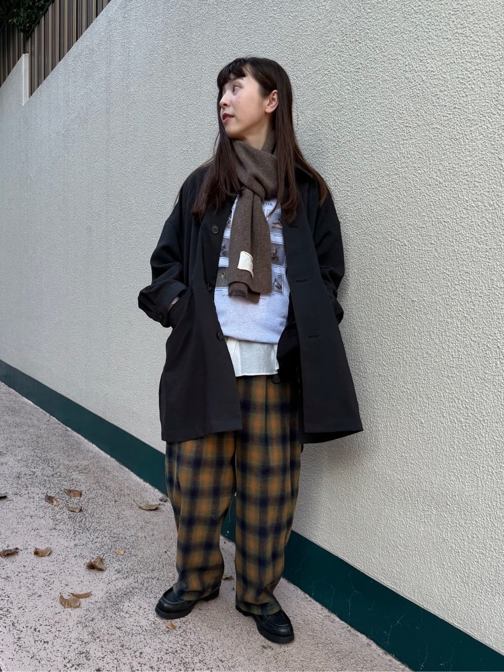 AMBIDEX �A�g���G �g���F160cm 2025.11.26