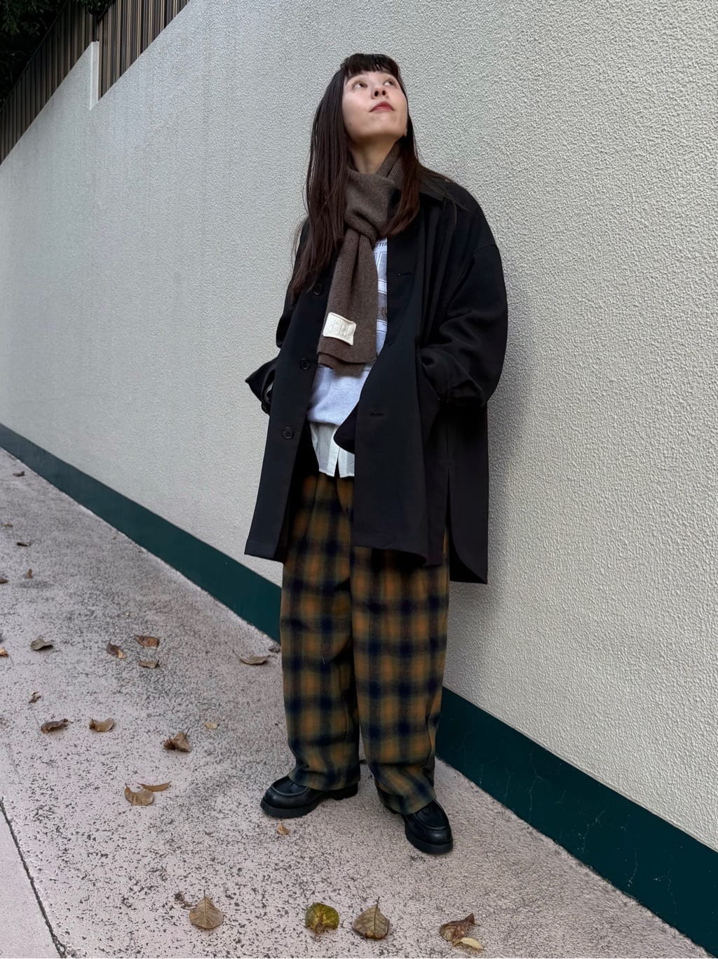 AMBIDEX �A�g���G �g���F160cm 2025.11.26