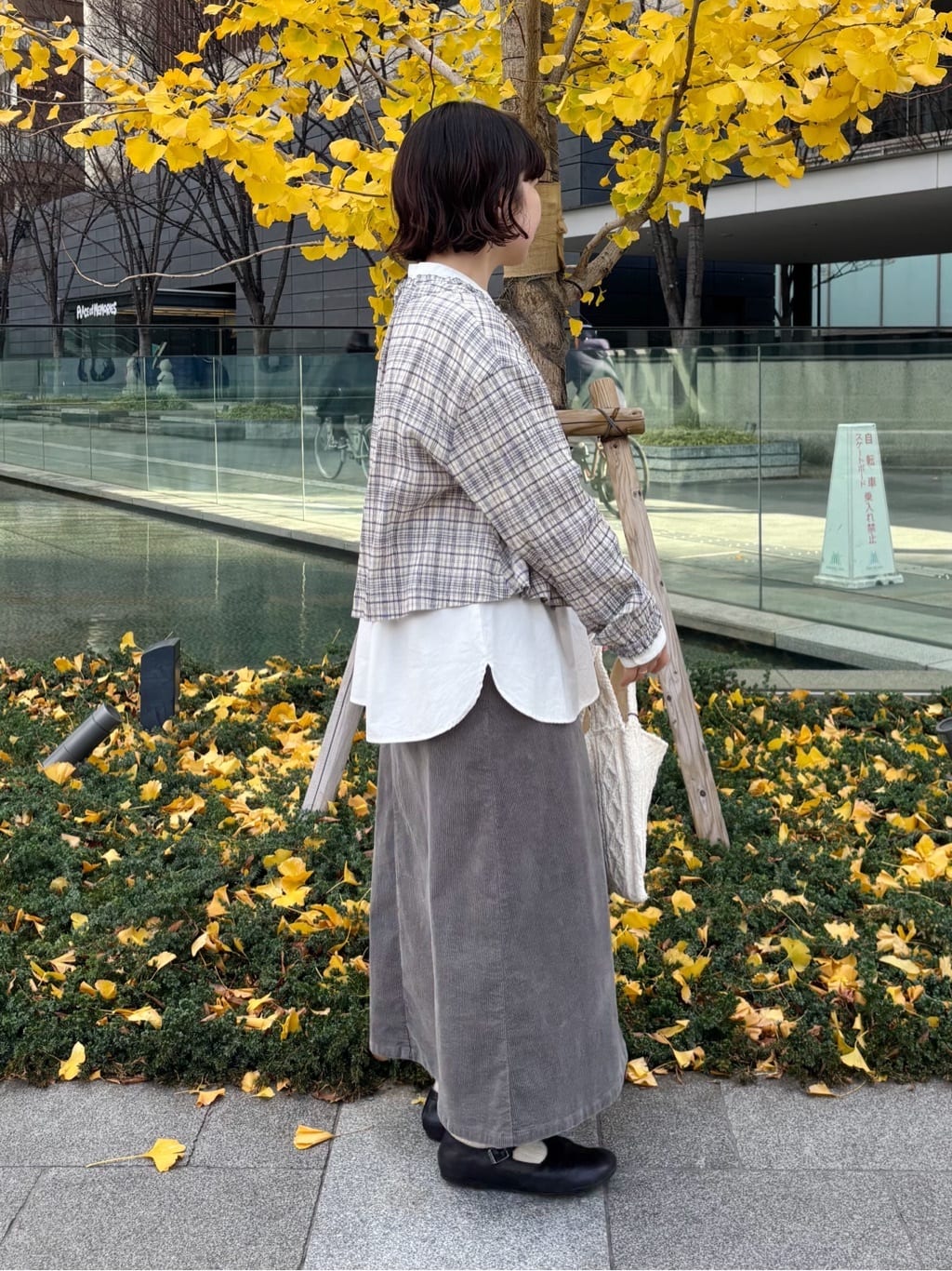 bulle de savon ���N�A�C�[�� �g���F151cm 2025.12.17