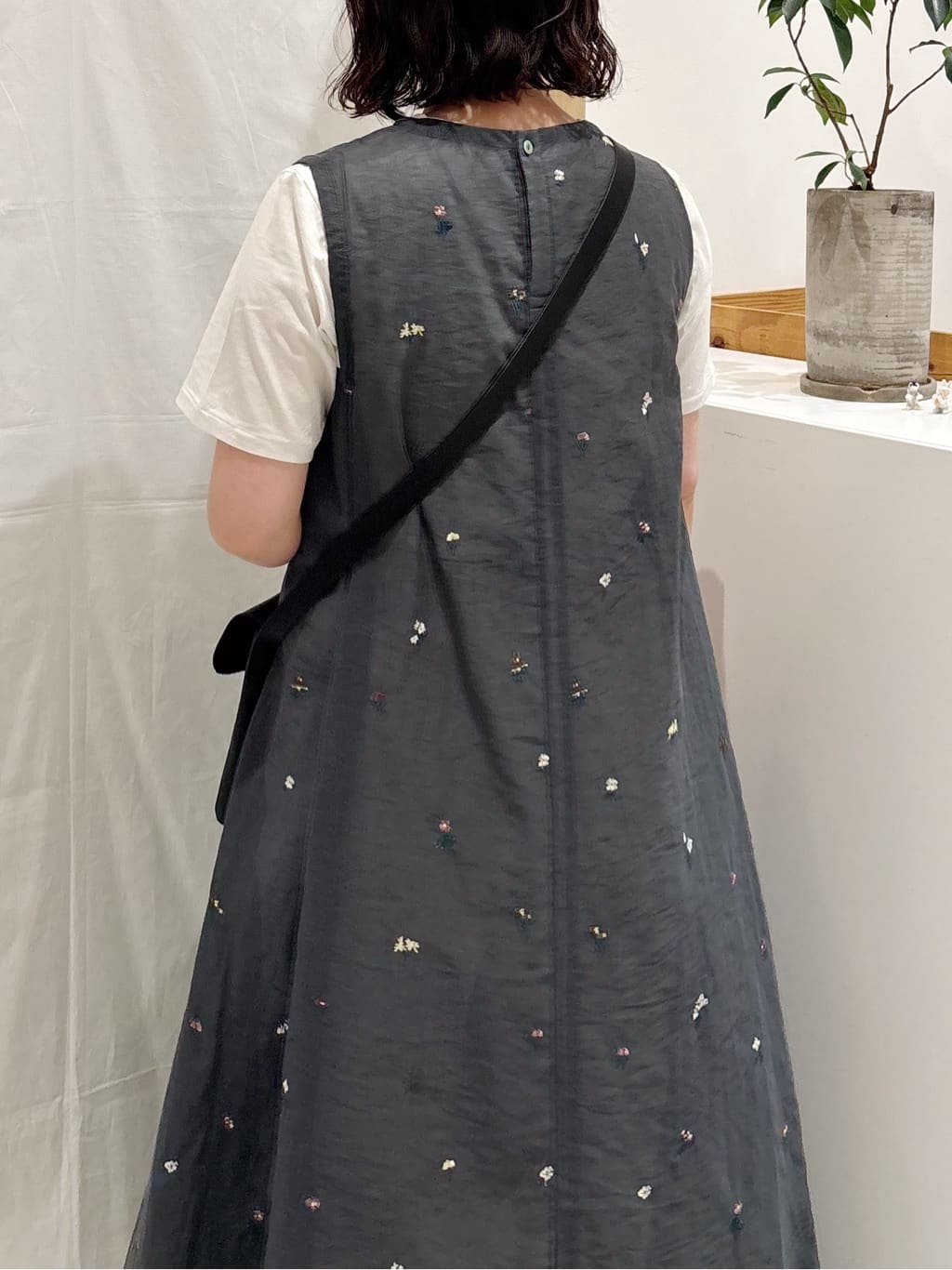 bulle de savon ���N�A�C�[�� �g���F151cm 2026.05.06