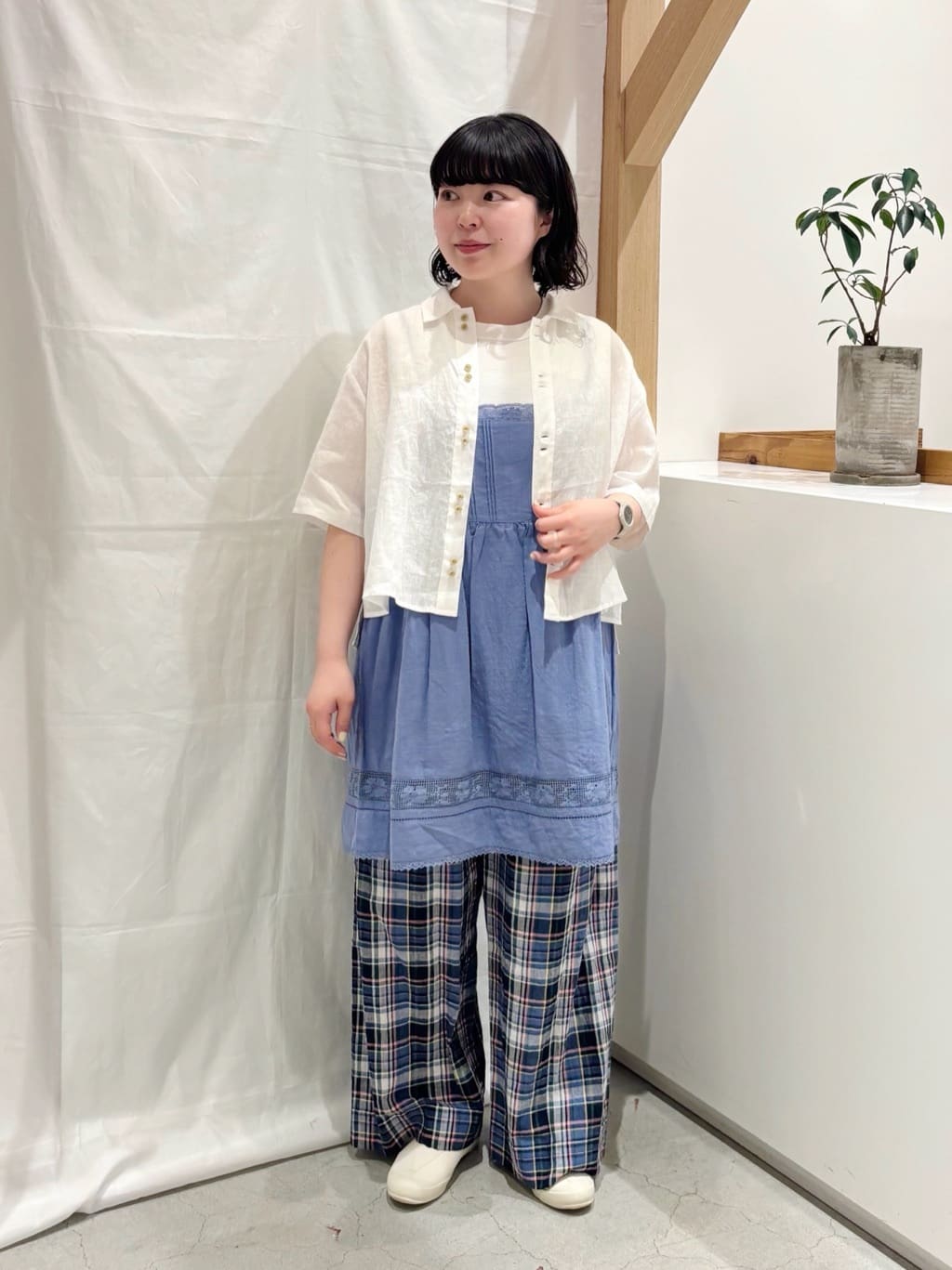 bulle de savon ���N�A�C�[�� �g���F151cm 2026.05.03