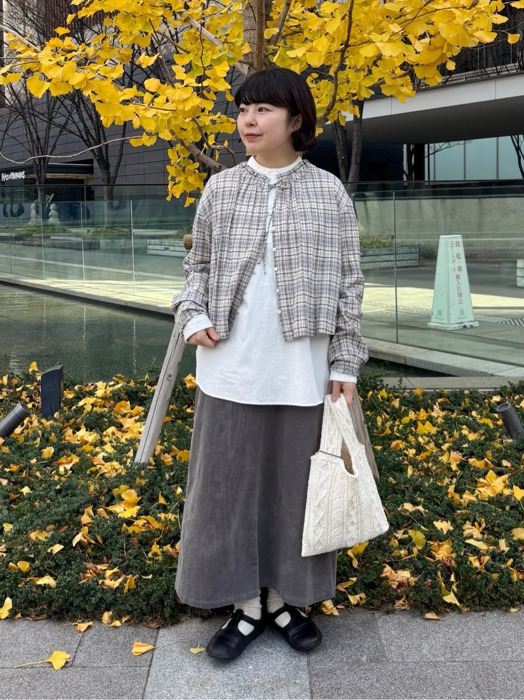 bulle de savon ���N�A�C�[�� �g���F151cm 2025.12.17