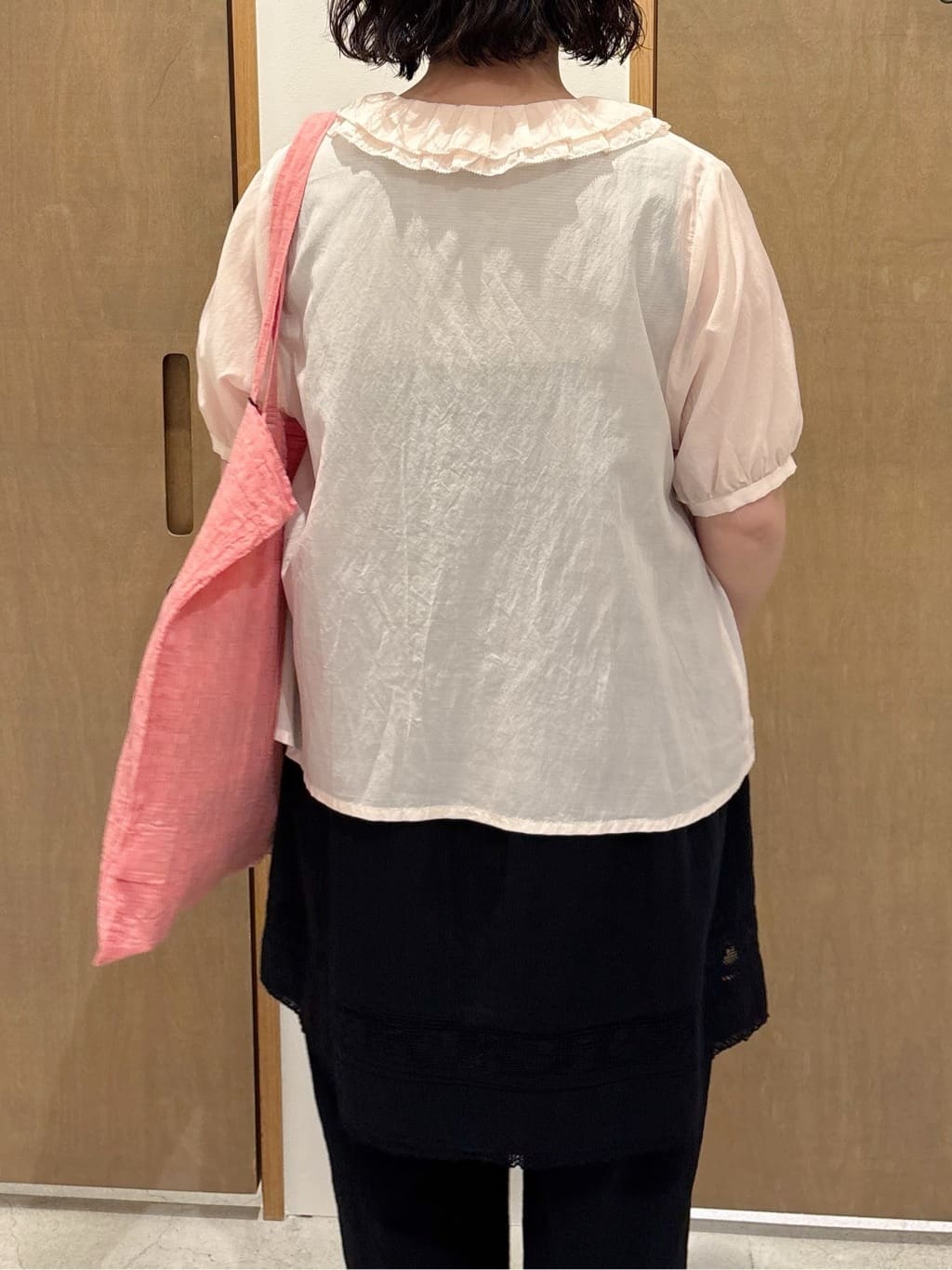 bulle de savon ���N�A�C�[�� �g���F151cm 2026.03.27