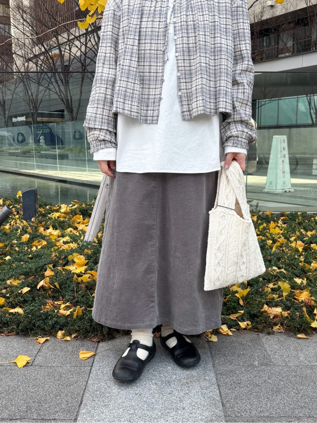 bulle de savon ���N�A�C�[�� �g���F151cm 2025.12.17