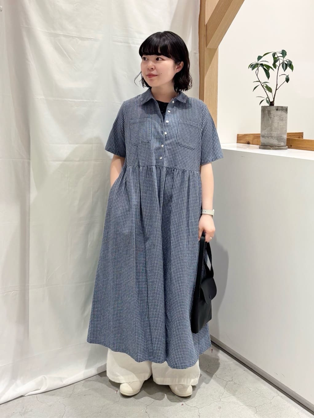 bulle de savon ���N�A�C�[�� �g���F151cm 2026.04.23