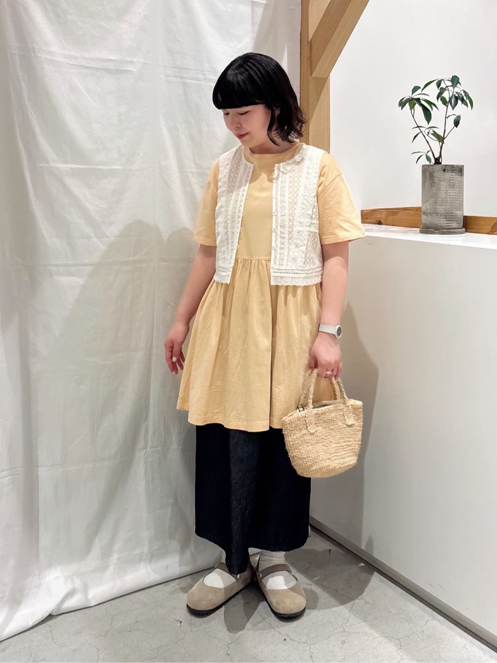 bulle de savon ���N�A�C�[�� �g���F151cm 2026.05.01
