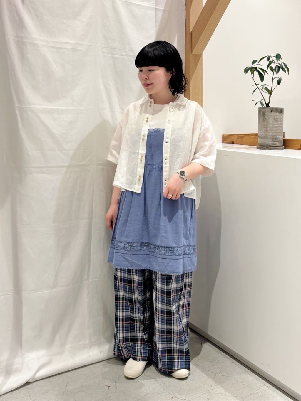 bulle de savon ���N�A�C�[�� �g���F151cm 2026.05.03