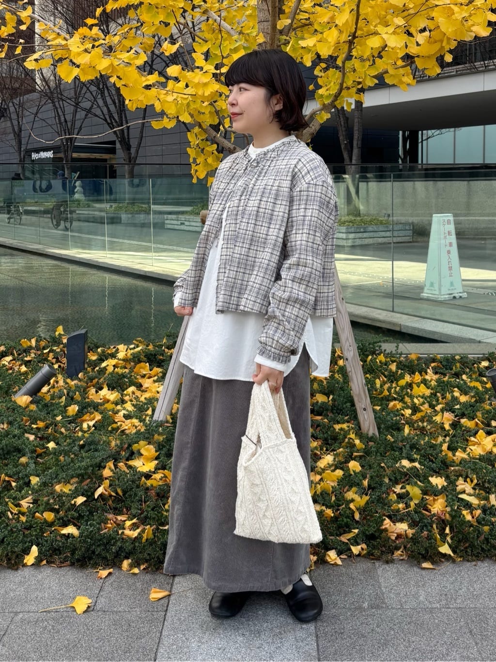 bulle de savon ���N�A�C�[�� �g���F151cm 2025.12.17