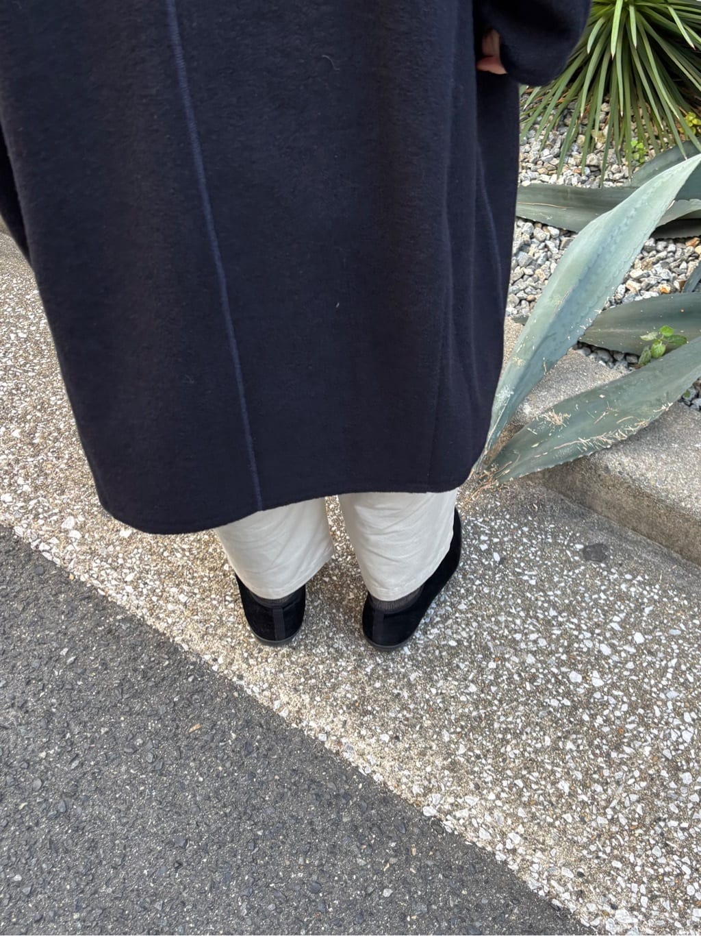 bulle de savon ���N�A�C�[�� �g���F164cm 2025.12.17