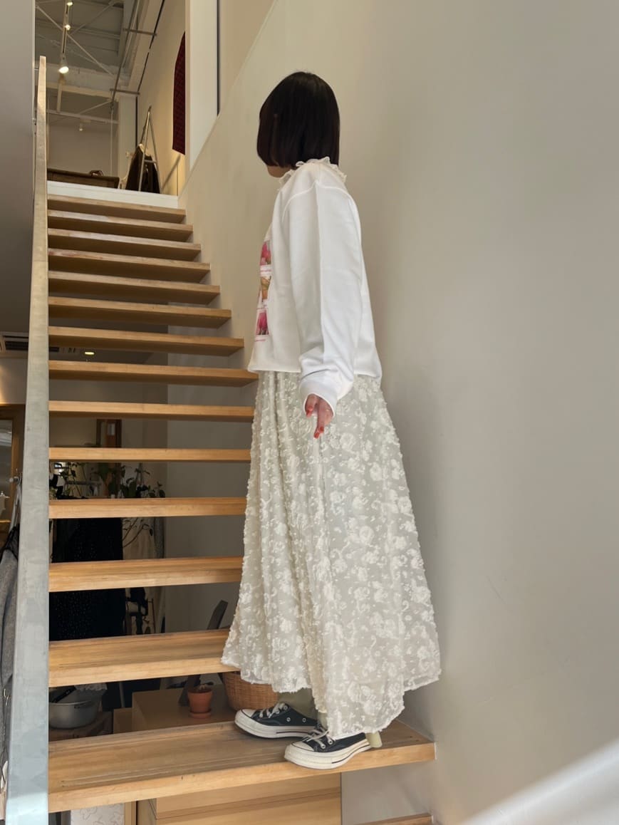 AMBIDEX ambihanako���s�H�� �g���F155cm 2026.01.19