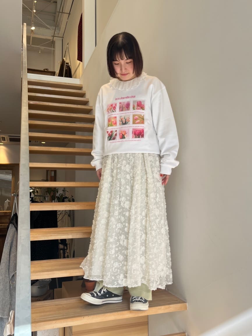 AMBIDEX ambihanako���s�H�� �g���F155cm 2026.01.19