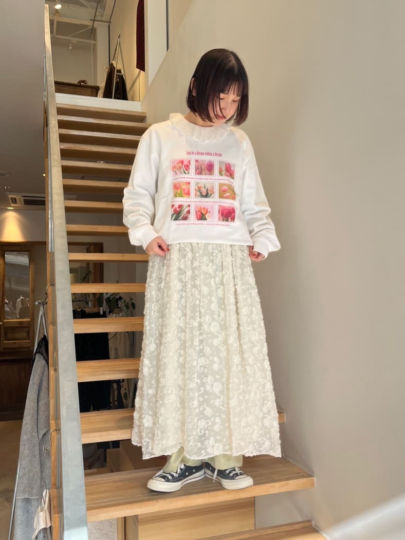 �y NEW �zAMBIDEX ambihanako���s�H�� �g���F155cm 2026.01.19