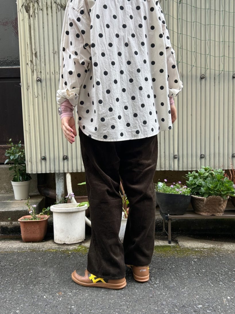 AMBIDEX HATENAX؏㌴HʓX gF165cm 2025.09.30