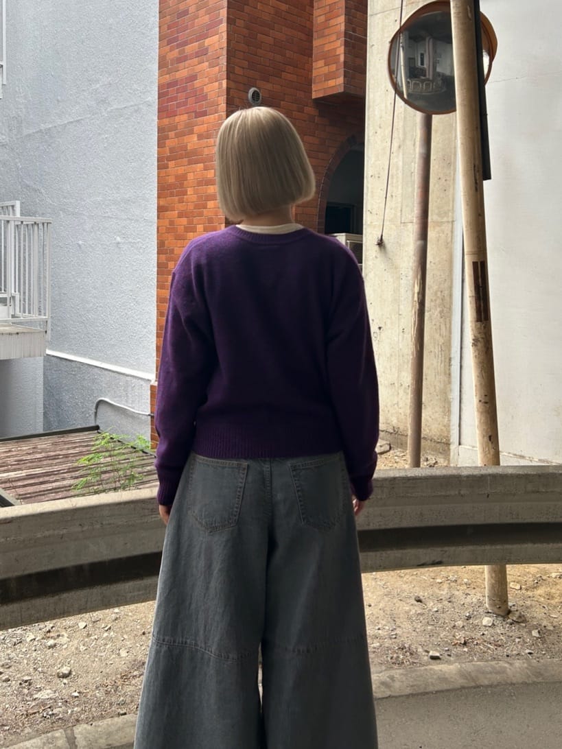 AMBIDEX HATENAX؏㌴HʓX gF165cm 2025.09.30