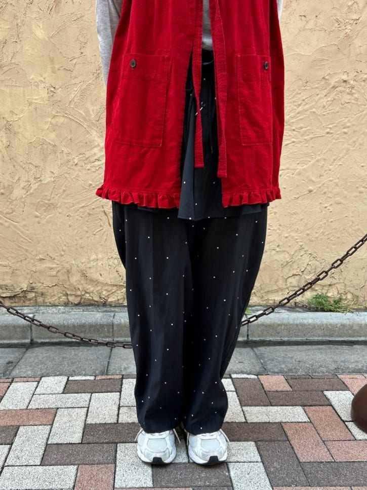 AMBIDEX HATENAX؏㌴HʓX gF165cm 2025.09.28