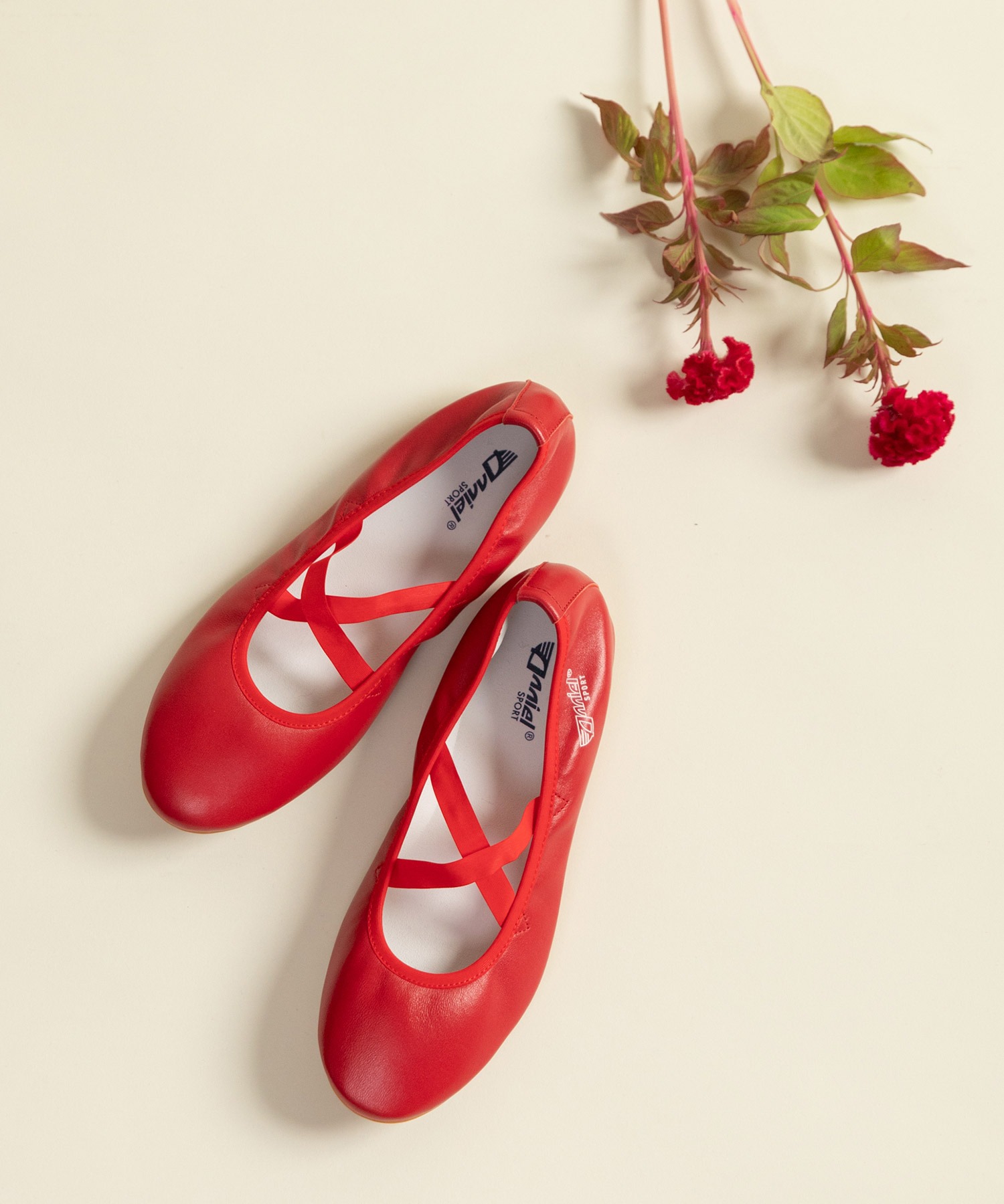 【未使用品】 Y's Red Lable パンプス バレエシューズ 23cm相当 AMBIDEX Store △○ANNIEL 革 クロスバレエシューズ(38 クロ