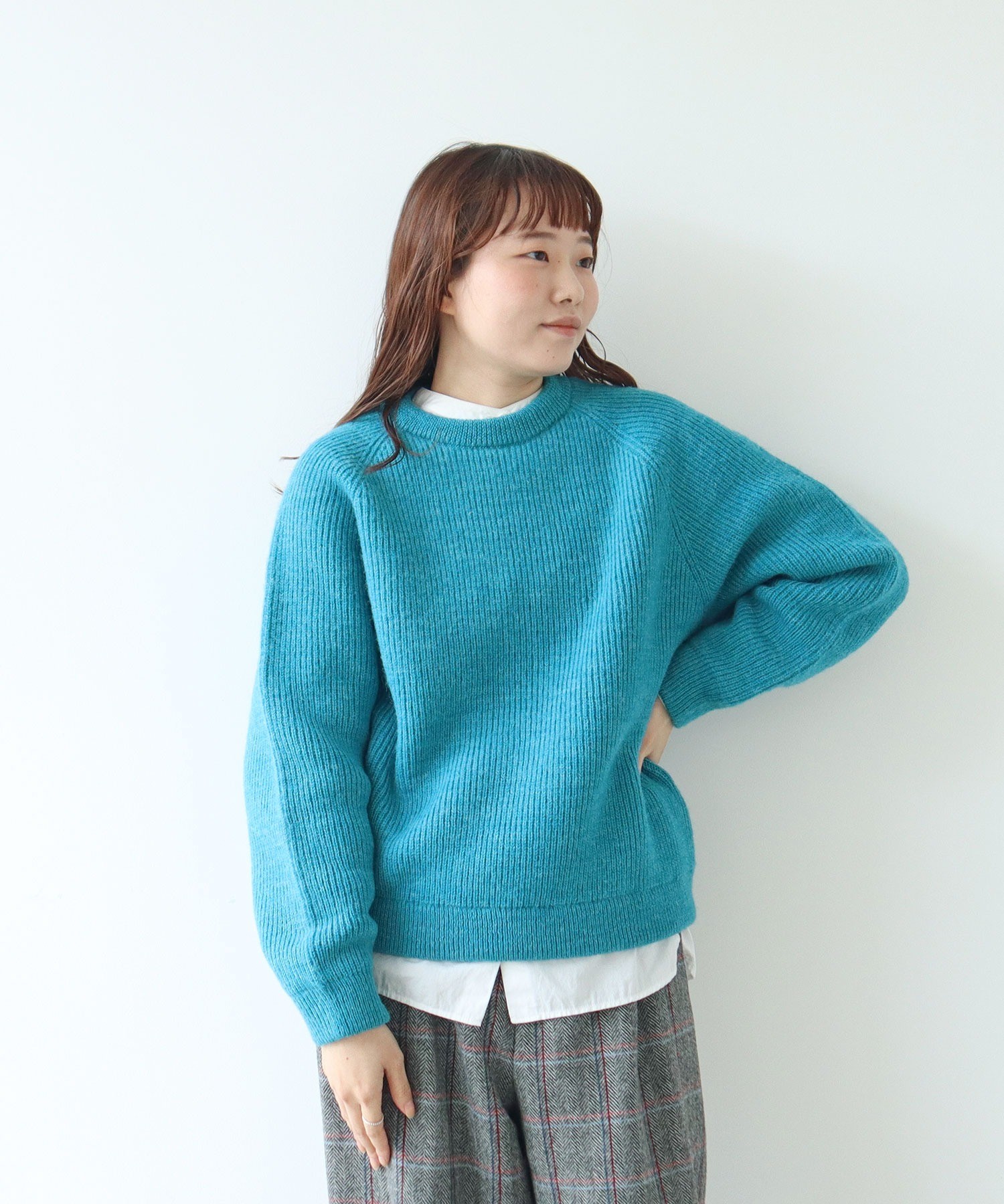 AMBIDEX Store ○【30周年特別アイテム】BRITISH WOOL 片畦ニットプル