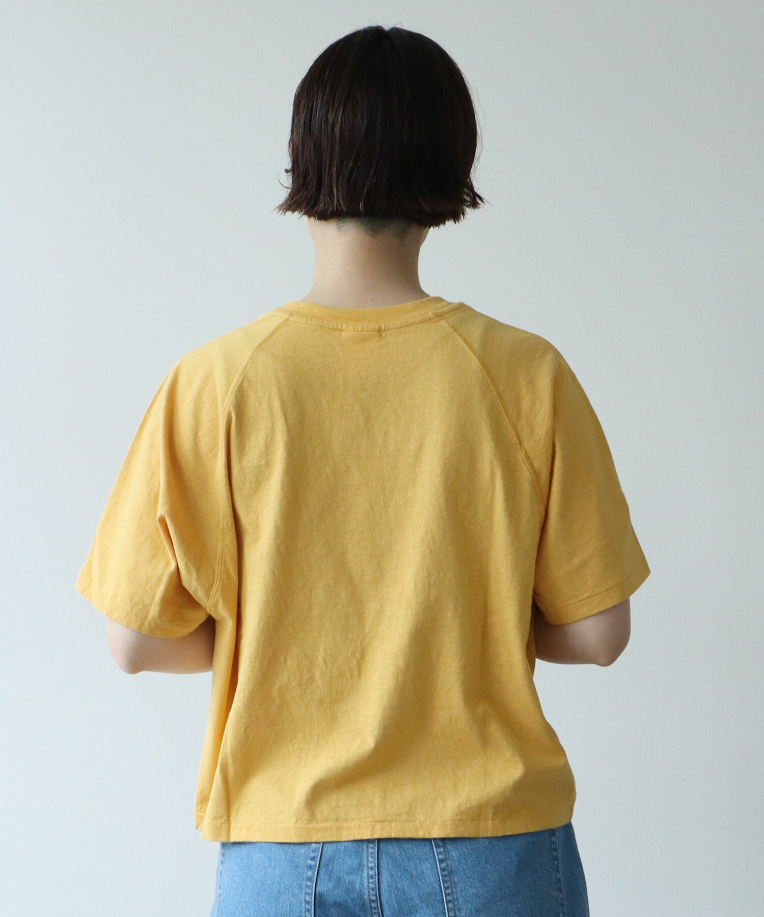 AMBIDEX Store naturalムラ糸 天竺スタンダード Tシャツ(F シロ): FLAT 