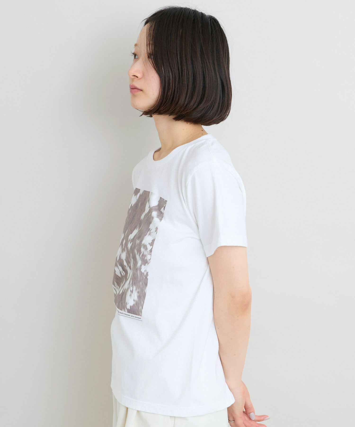 AMBIDEX Store 【予約販売】〇セミコーマ天竺 フォト プリント