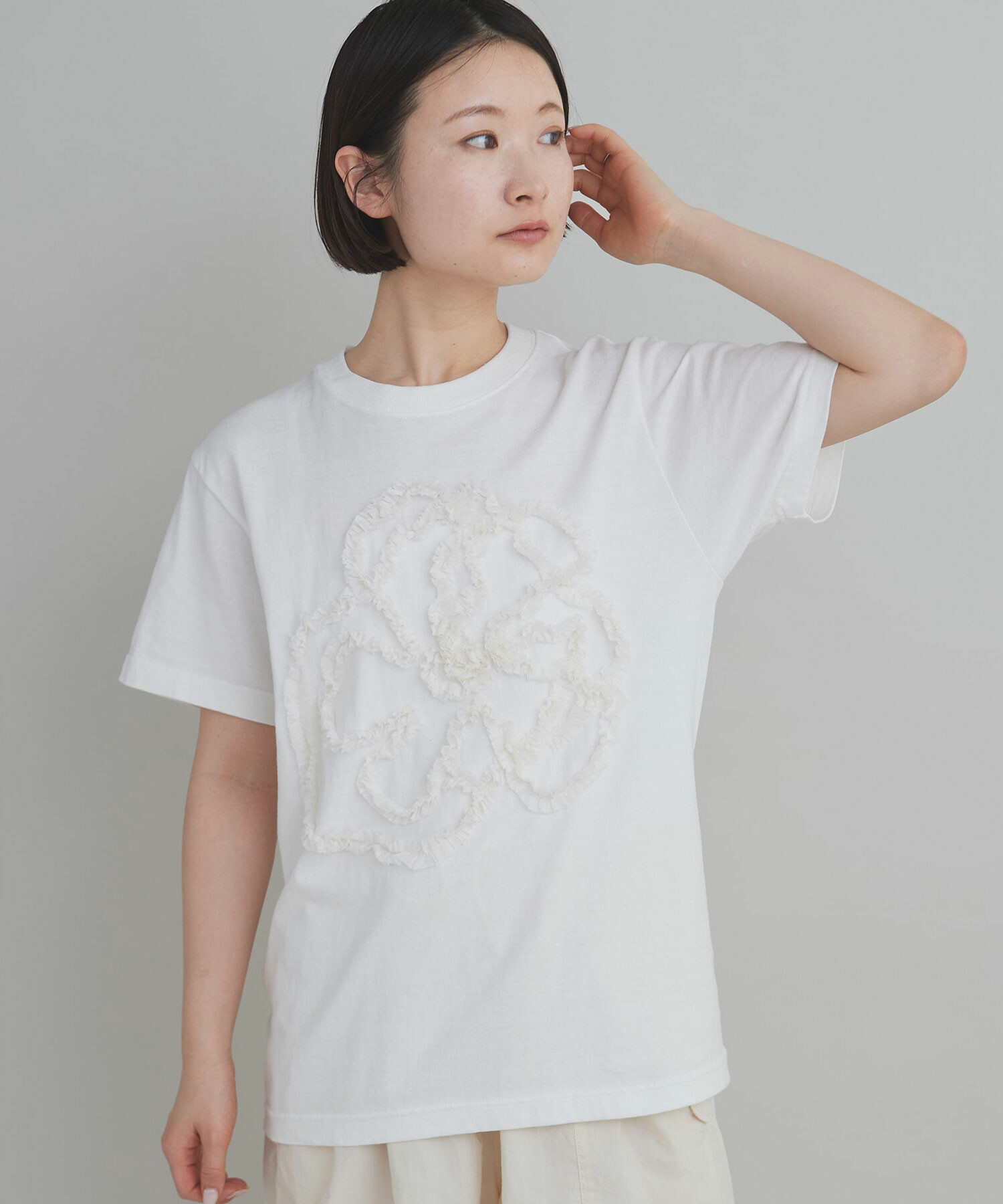 AMBIDEX Store 【予約販売】〇セミコーマ天竺 テープ刺繍 Tシャツ(F 