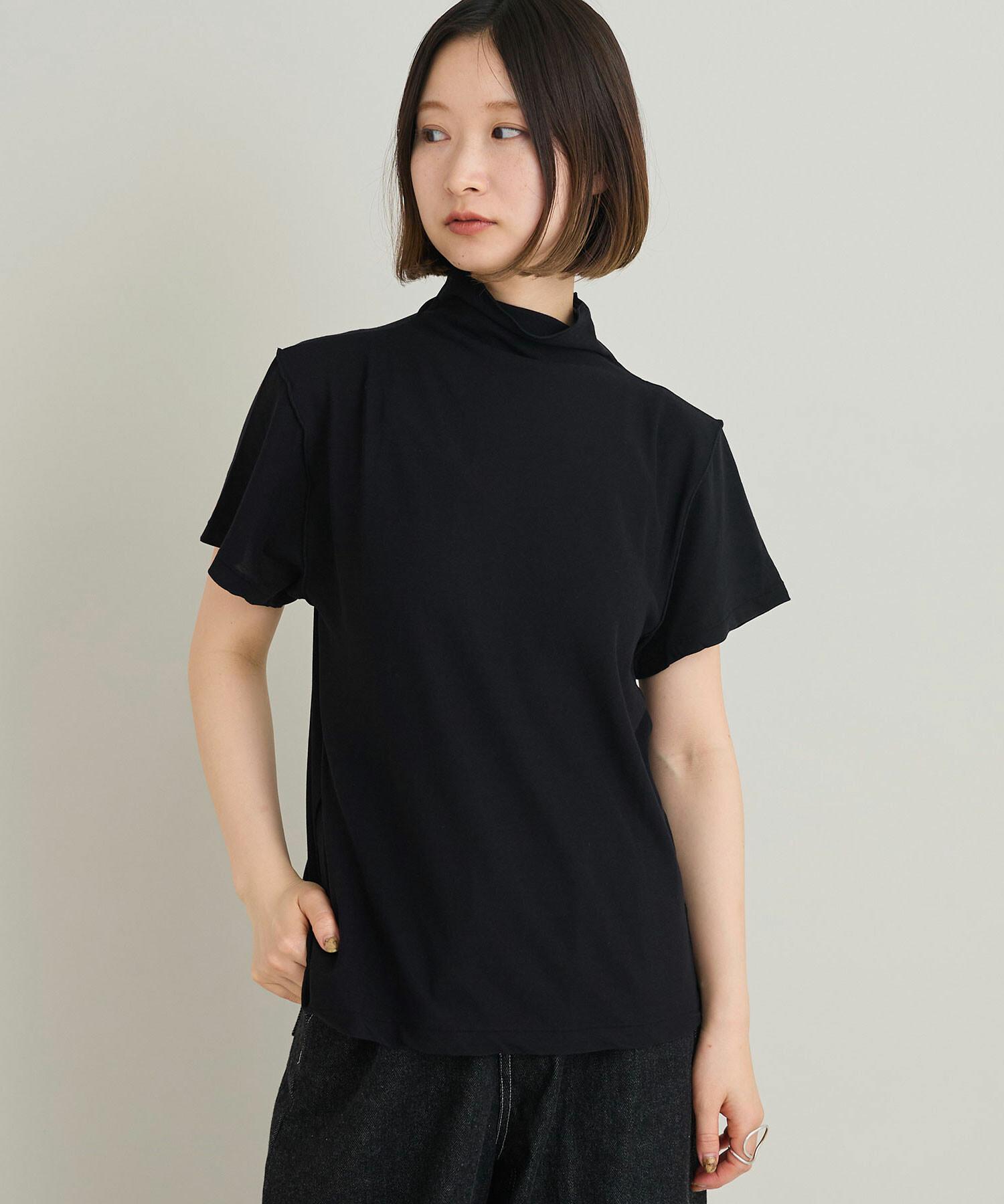 AMBIDEX Store GV天竺 ハーフネック Tシャツ(F クロ): iki