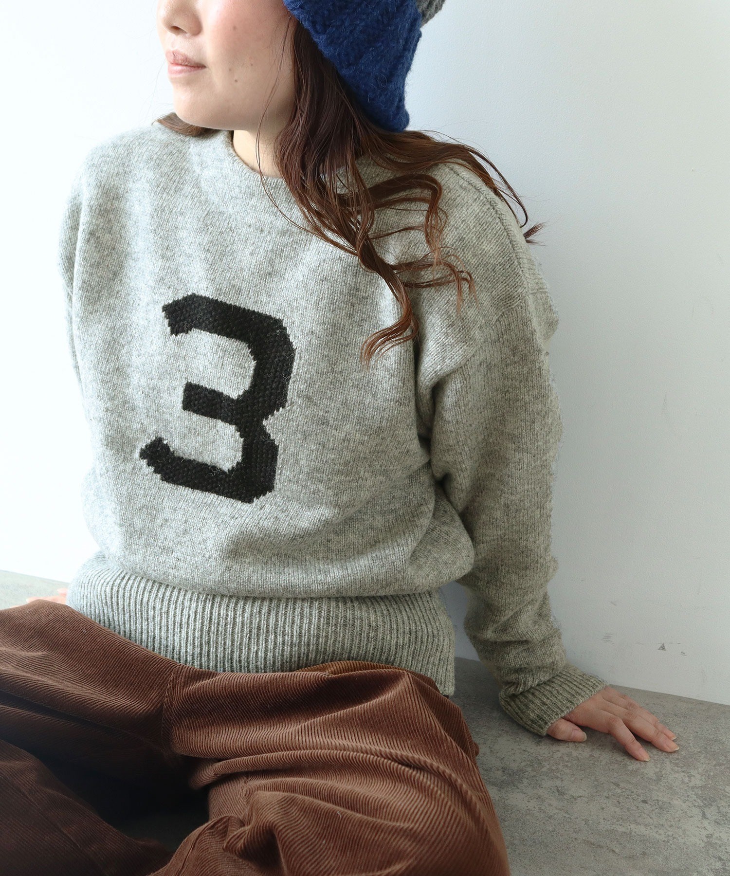 AMBIDEX Store ○3インターシャ カレッジニットプルオーバー(F