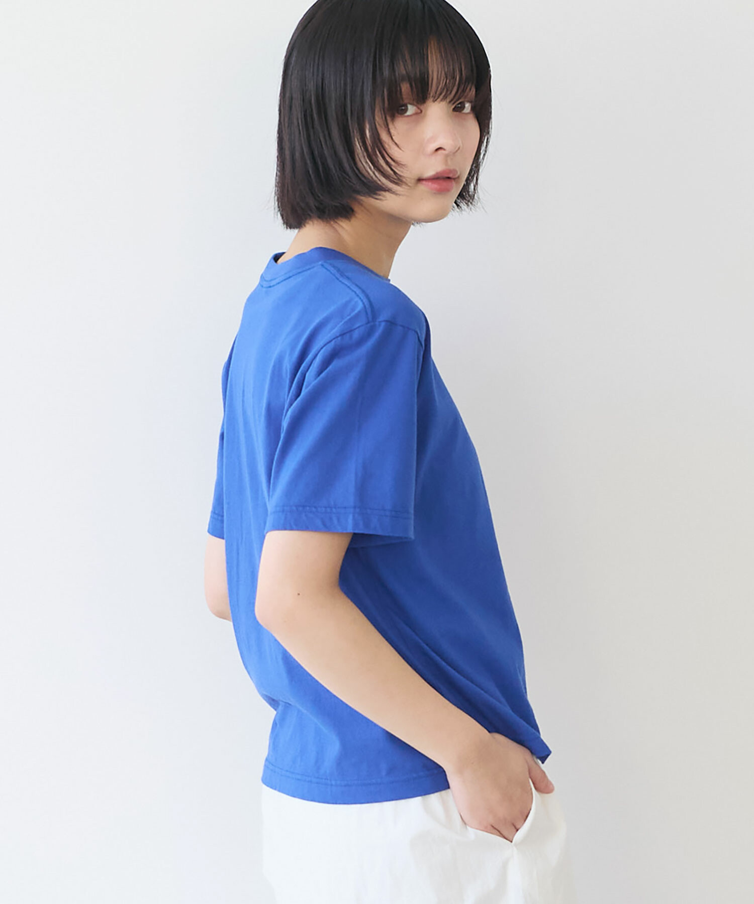 AMBIDEX Store 〇 くじらのなかまたち 刺繍Tシャツ(F アオ