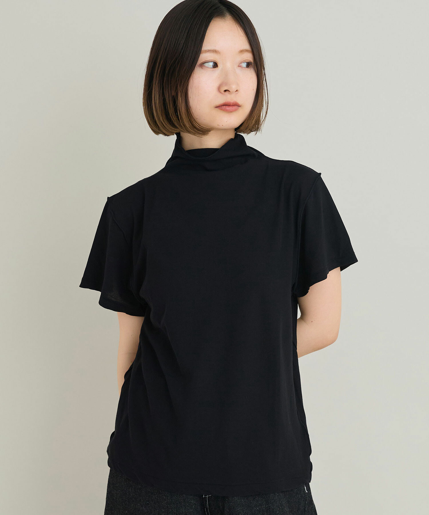 AMBIDEX Store GV天竺 ハーフネック Tシャツ(F シロ): iki