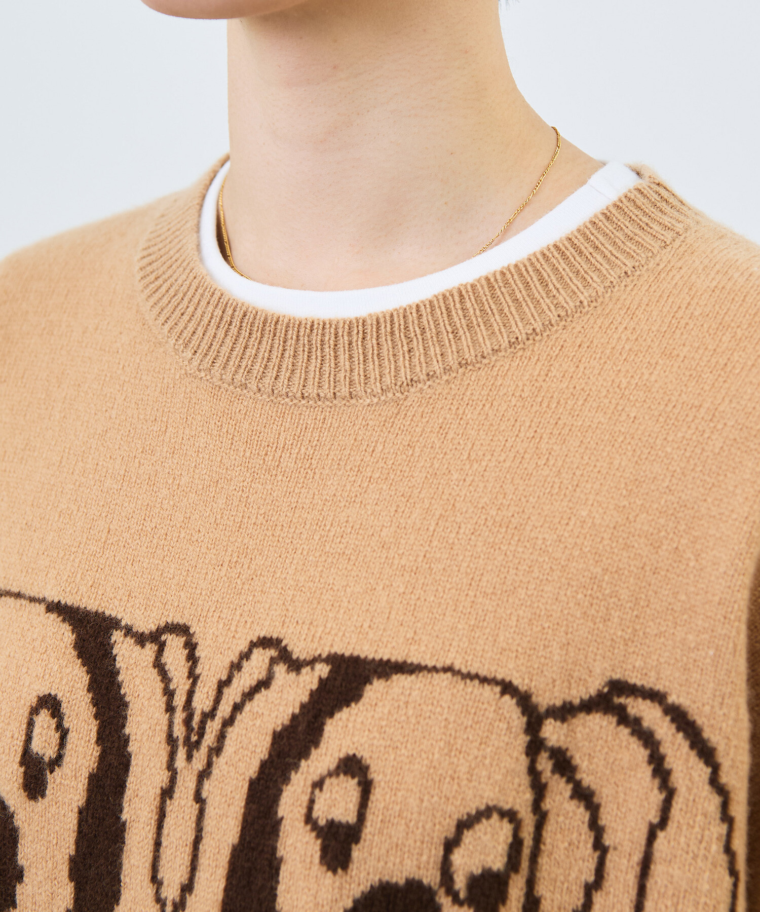 AMBIDEX Store 〇Tsuru Taisuke×WAAN インターシャニット(F GRAY