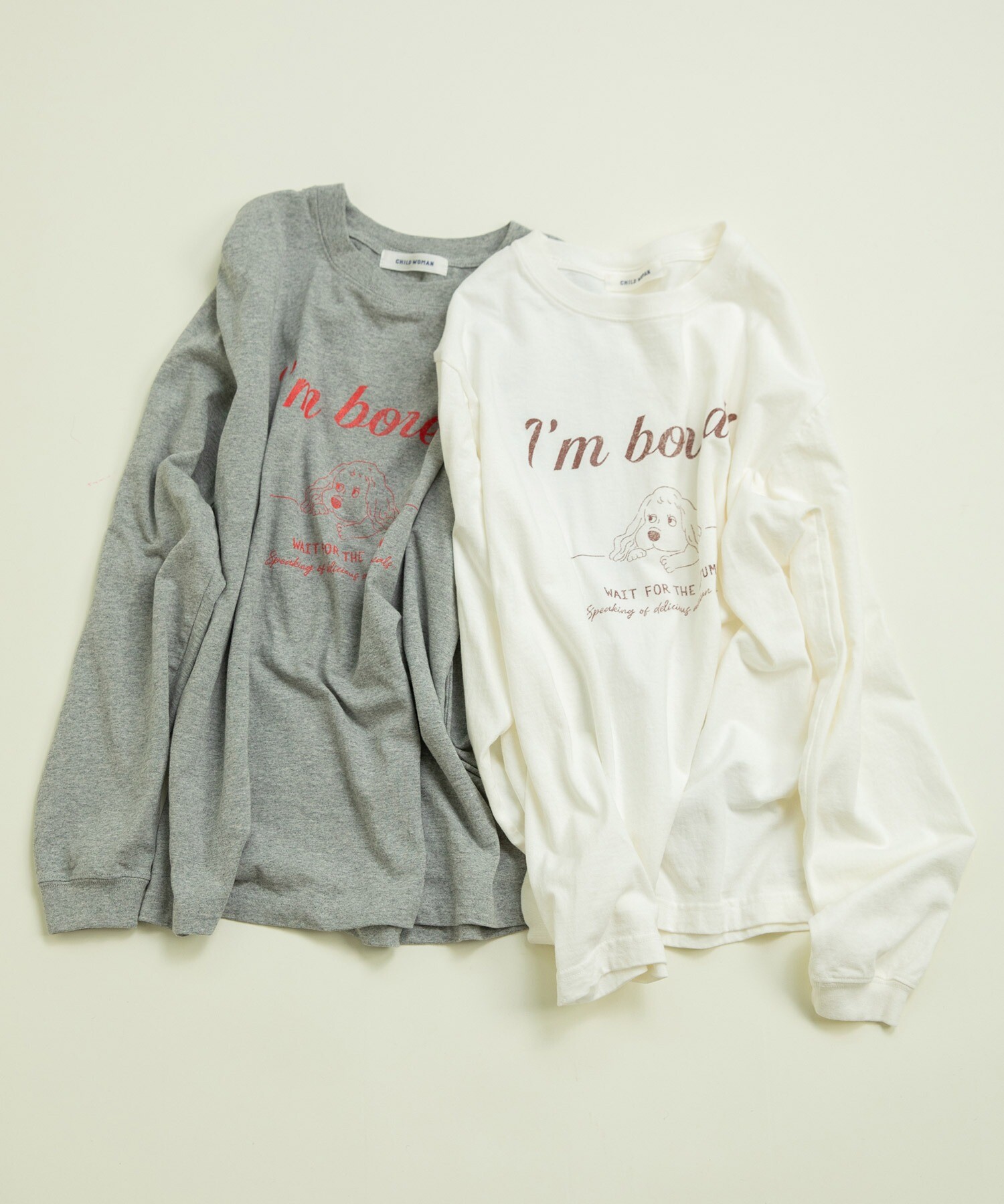 tシャツ 16/-天竺 秋を待つ犬プリント ロンＴ レディース AMBIDEX Store 【予約販売】○16/-天竺 秋を待つ犬プリント ロン