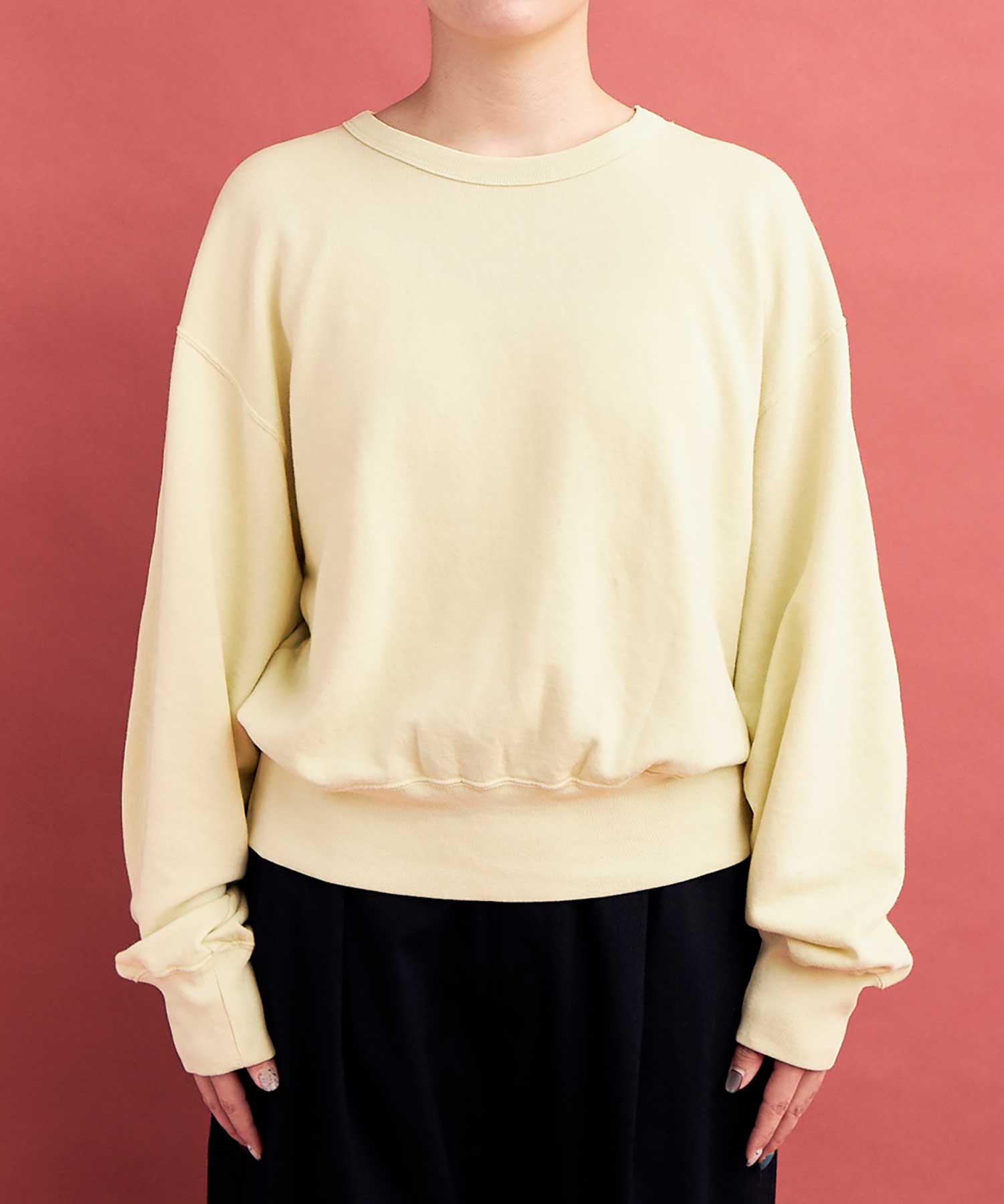 AMBIDEX Store ○GV HIGH TWIST 裏毛 CREW プルオーバー(F LIGHT