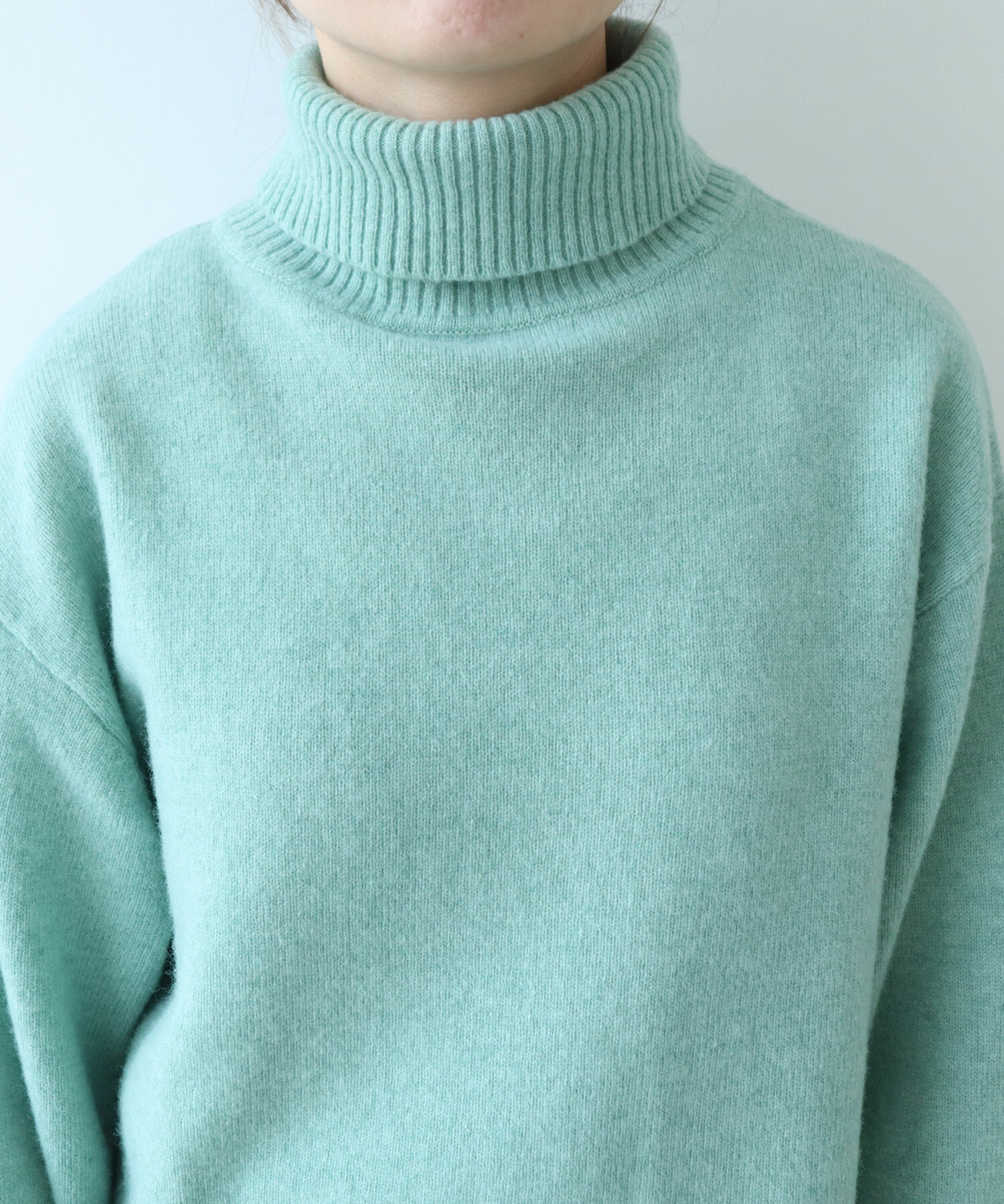 AMBIDEX Store 〇 ジーロンラム タートルネック プルオーバー(F