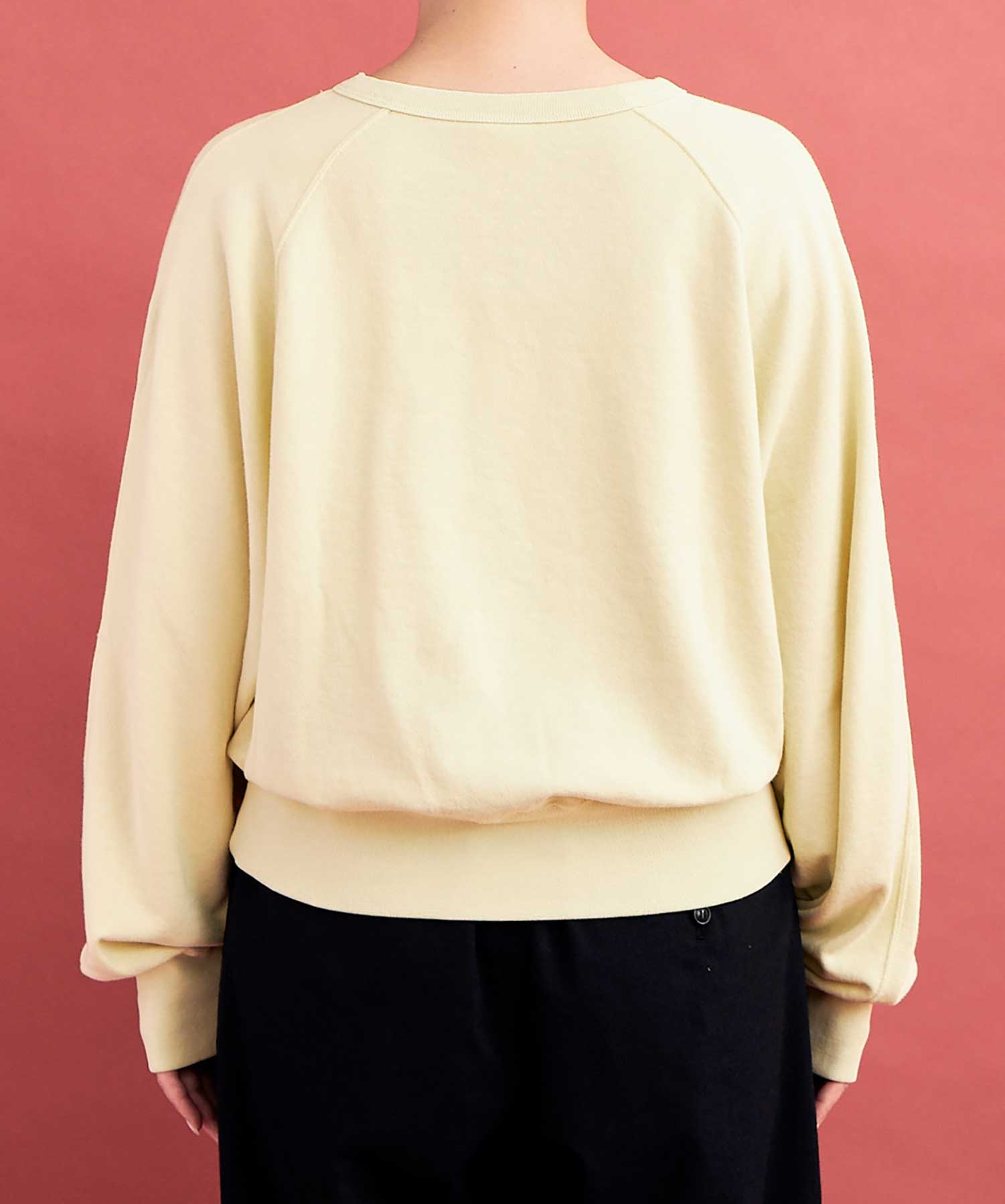 AMBIDEX Store ○GV HIGH TWIST 裏毛 CREW プルオーバー(F LIGHT