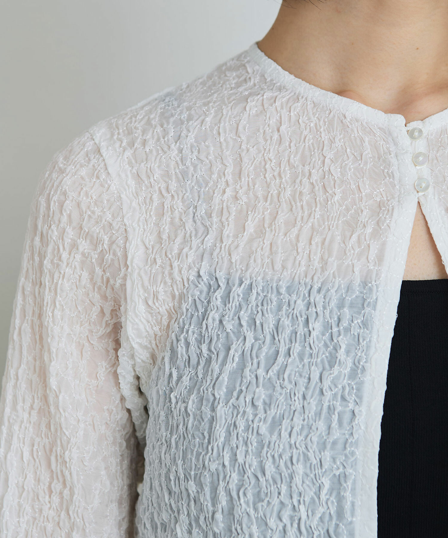 AMBIDEX Store ○キュプラシフォン刺繍 ショート丈 ブラウス(F