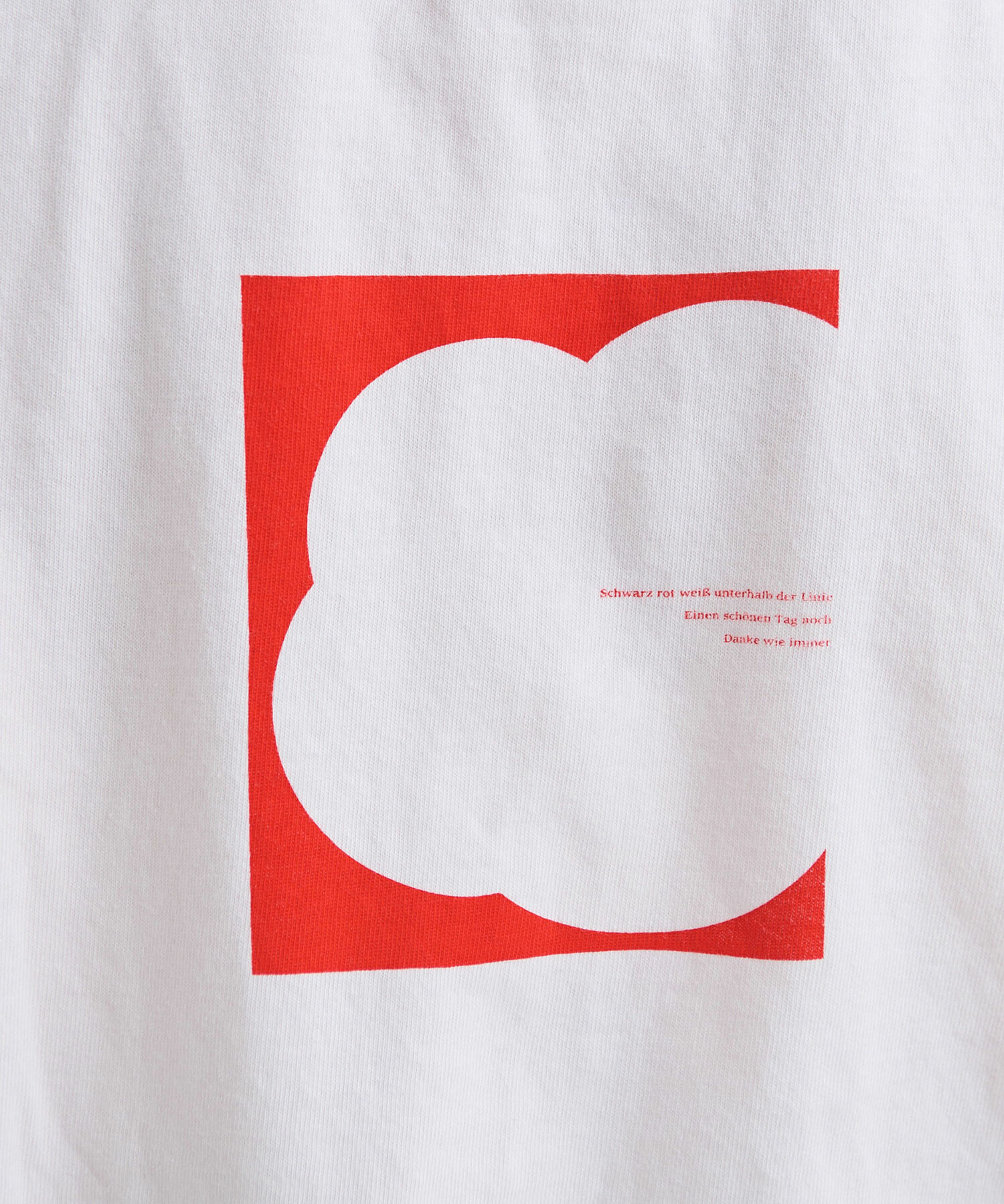 AMBIDEX Store セミコーマ天竺 バックプリント ロンT(F シロ): iki