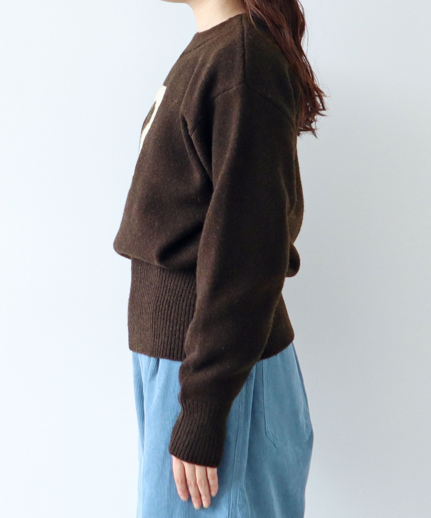 AMBIDEX Store ○3インターシャ カレッジニットプルオーバー(F