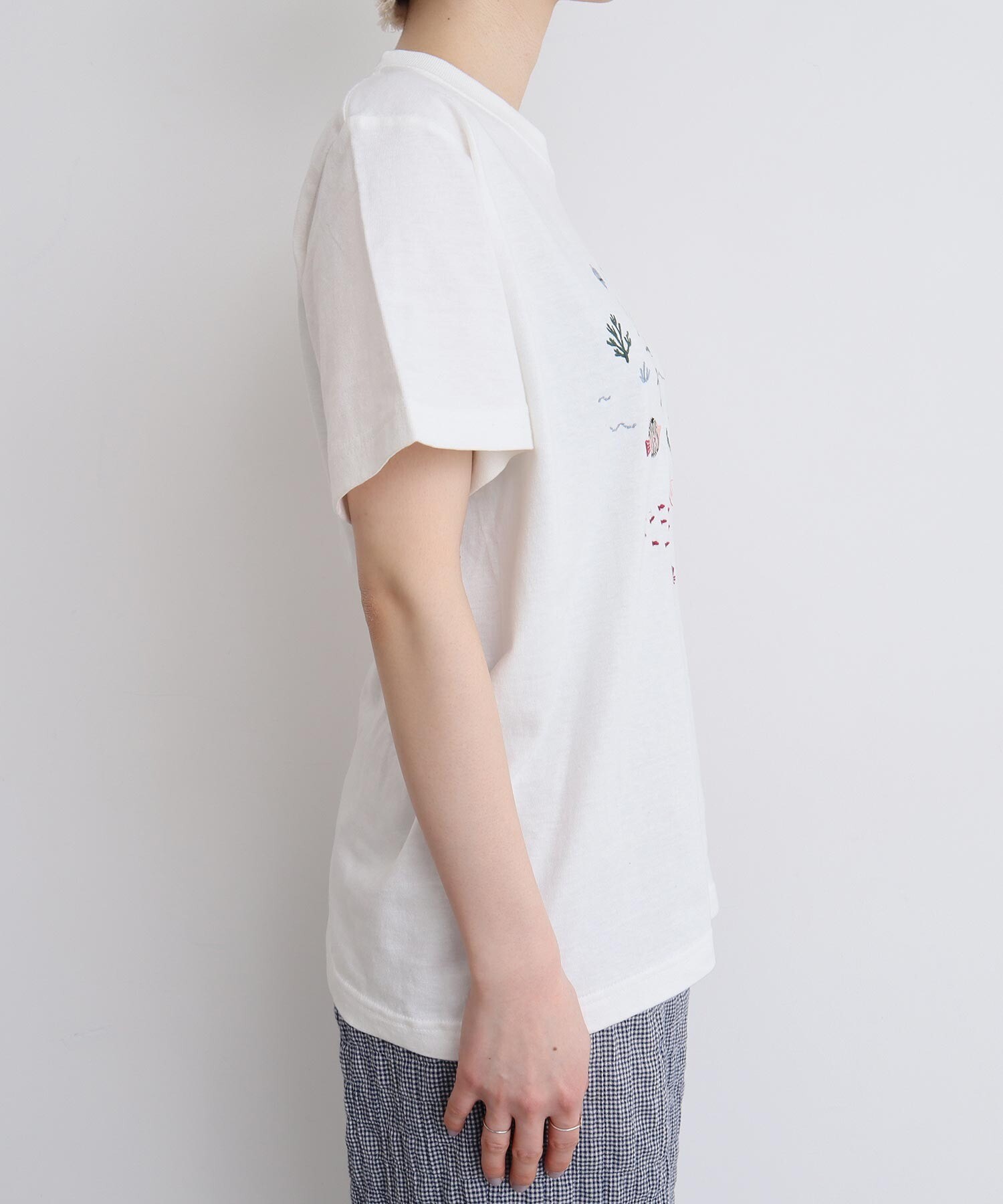 AMBIDEX Store 【予約販売】〇集まる海のさかな 刺繍Tシャツ(F