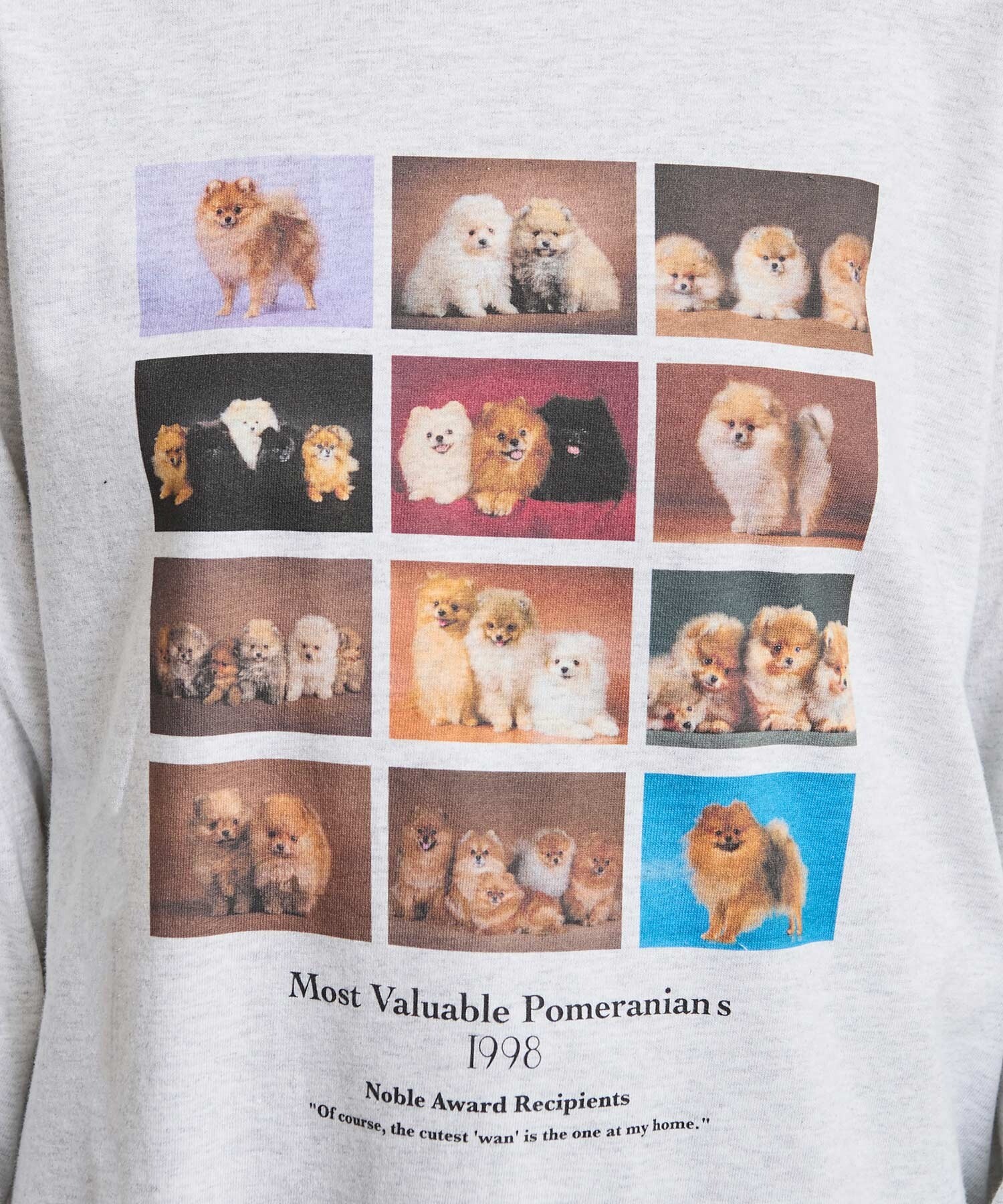 AMBIDEX Store 〇Pomeranians long sleeve (F アッシュグレー): l