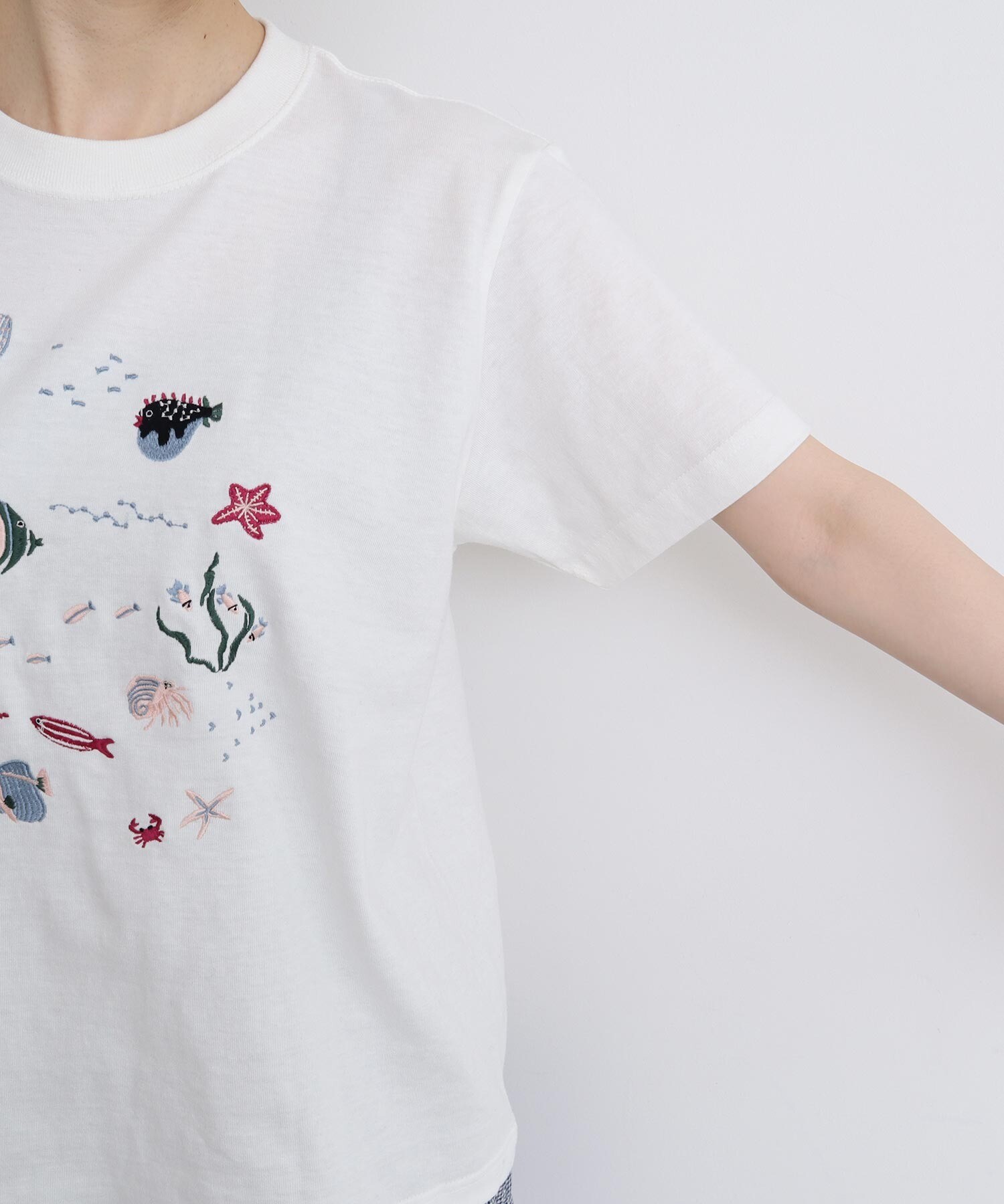 AMBIDEX Store 【予約販売】〇集まる海のさかな 刺繍Tシャツ(F
