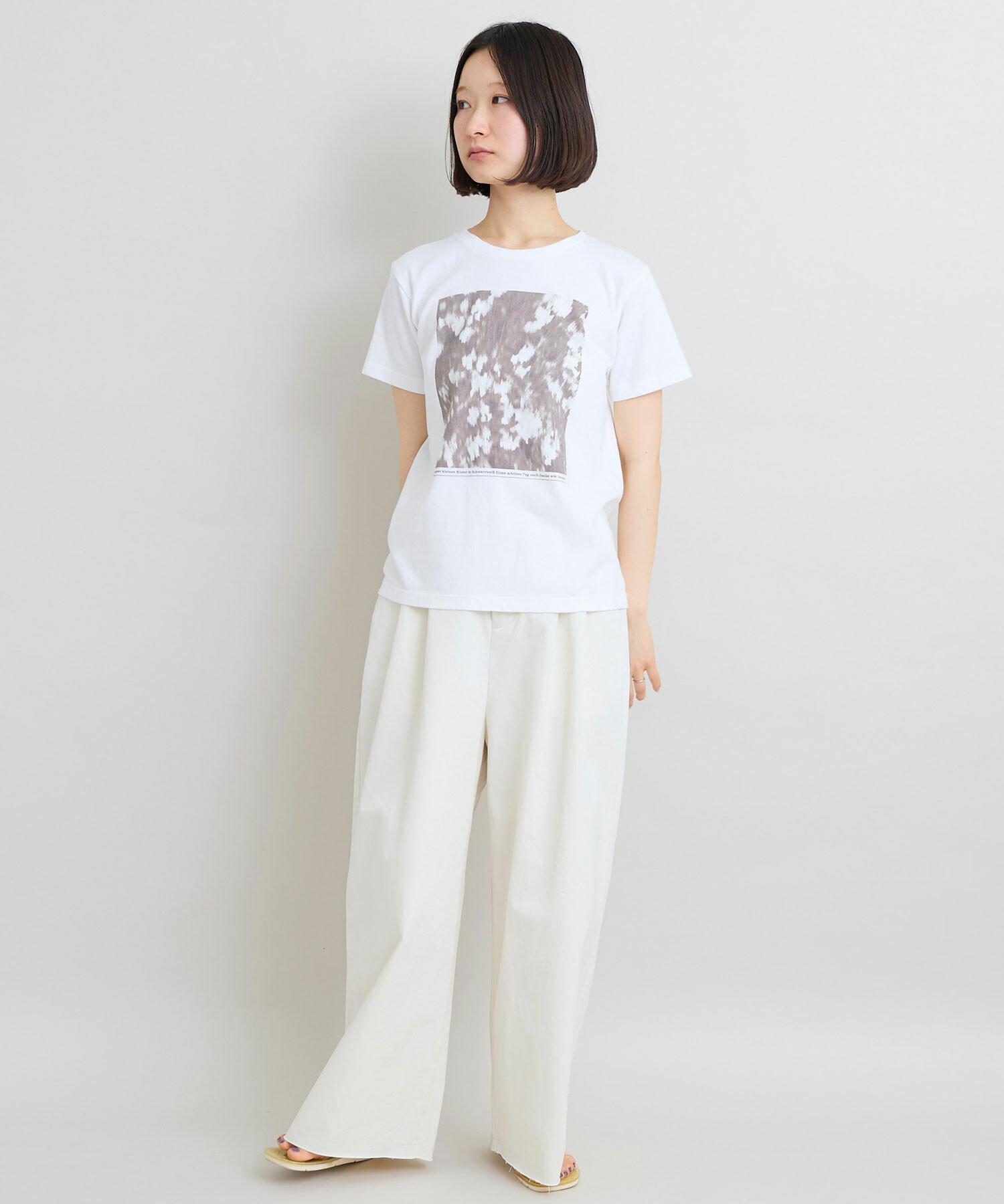 AMBIDEX Store 【予約販売】〇セミコーマ天竺 フォト プリント