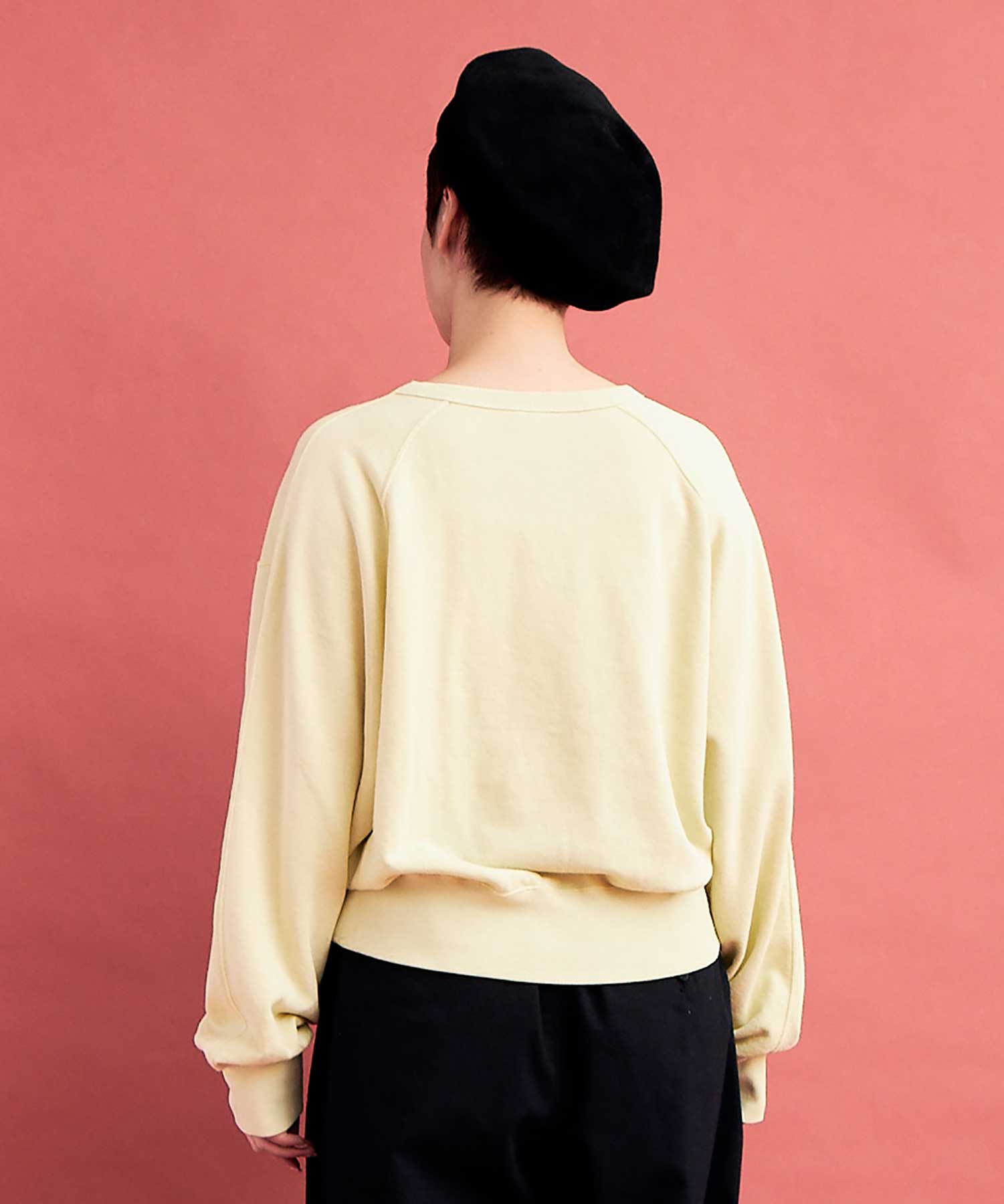 AMBIDEX Store ○GV HIGH TWIST 裏毛 CREW プルオーバー(F LIGHT