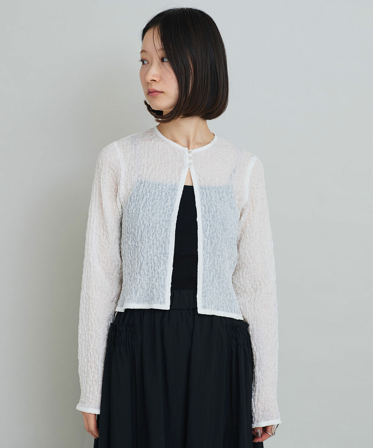 AMBIDEX Store ○キュプラシフォン刺繍 ショート丈 ブラウス(F